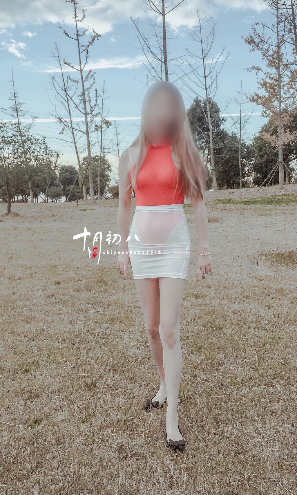十月初八： 人前露出私拍合集