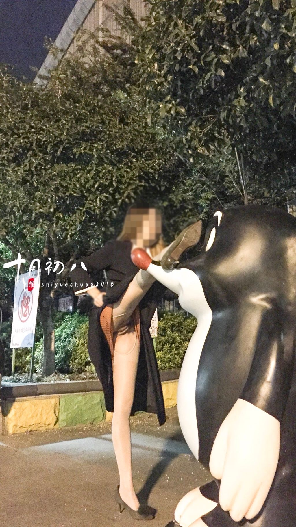 十月初八： 人前露出私拍合集