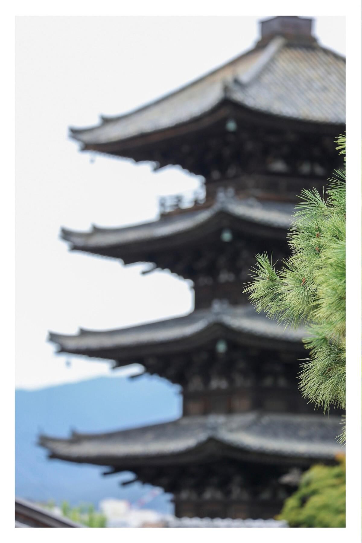 Shiori Tokunaga 徳永しおり - Travel Guide 旅のしおり
