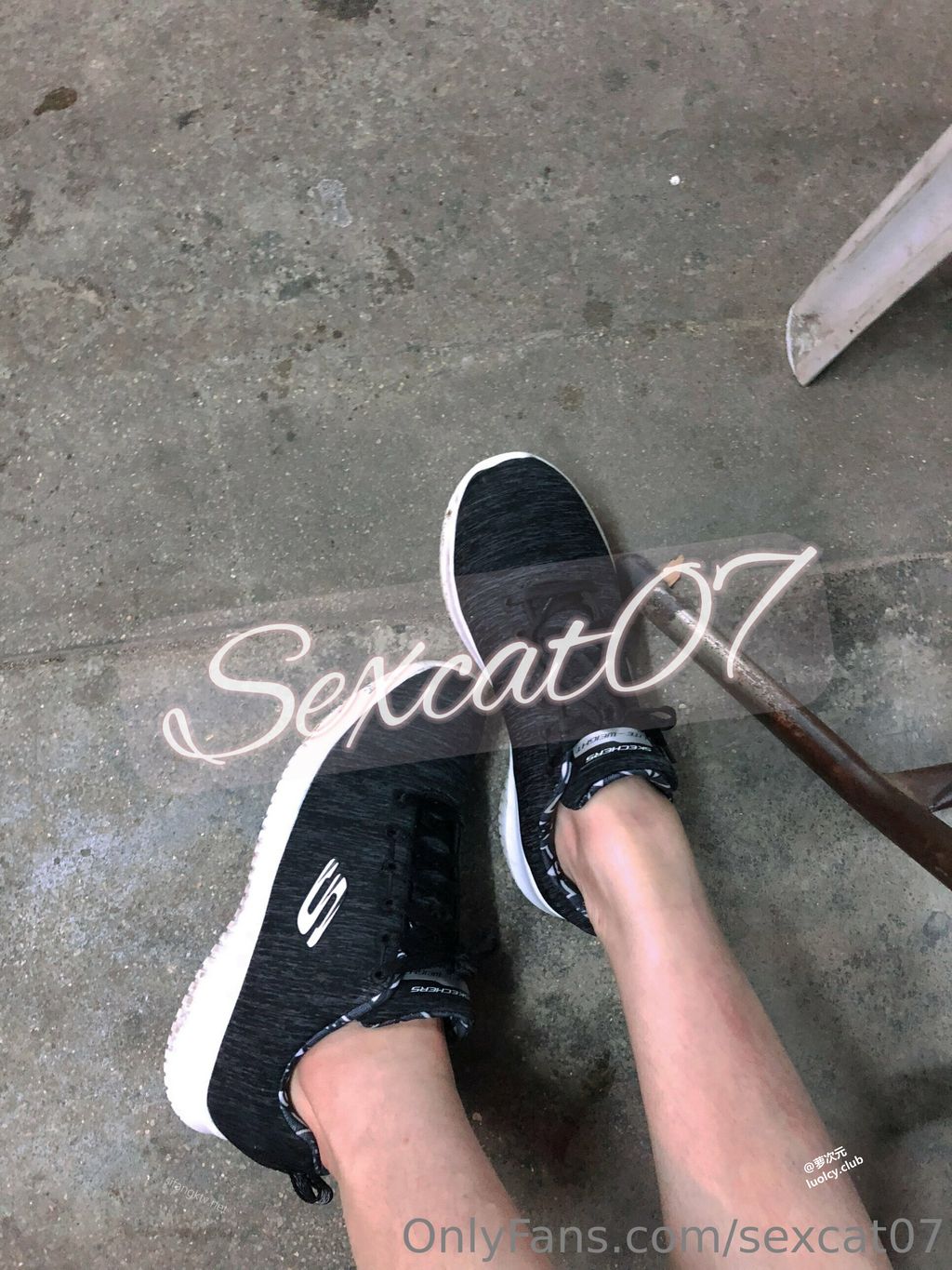 [OtherXXX] Sexcat(性感的猫)： OF究极绿帽骚妻 健身室大乱交混战