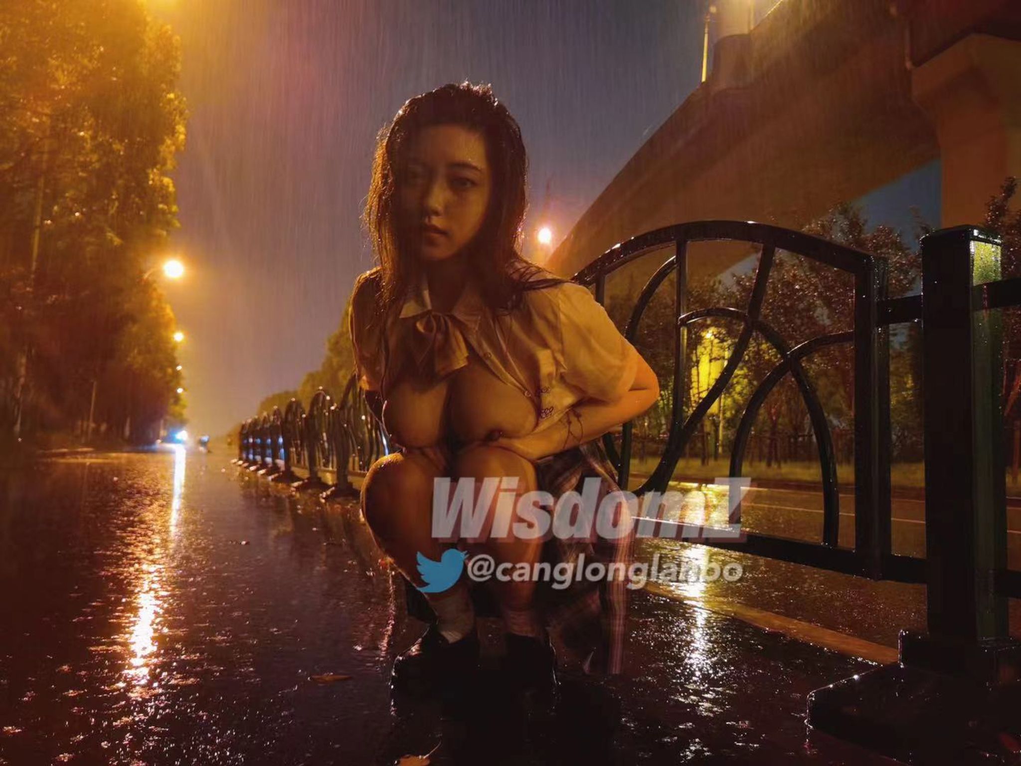 酒月： 极品巨乳 人前露出私拍