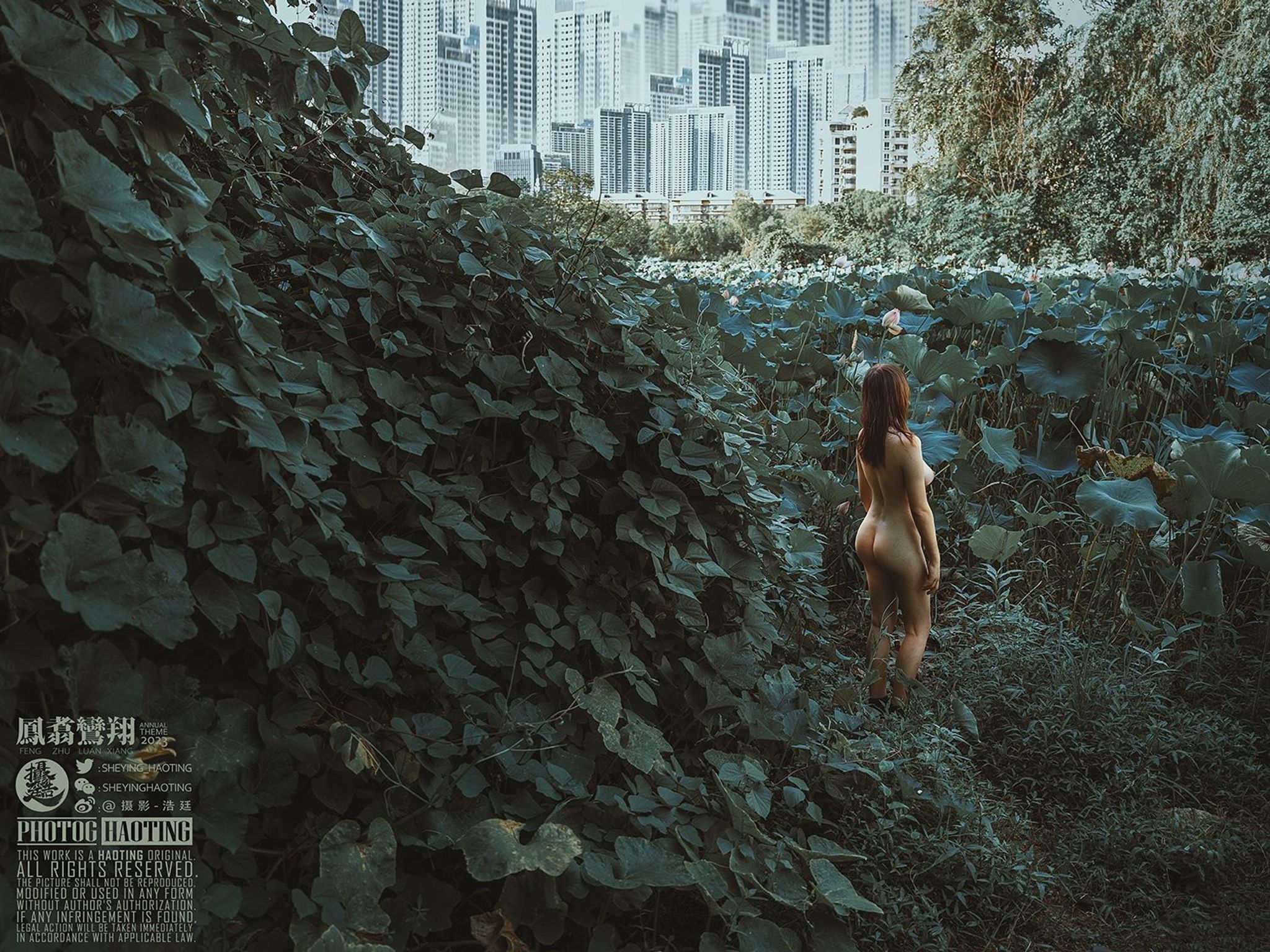浩廷： sheying_haoting