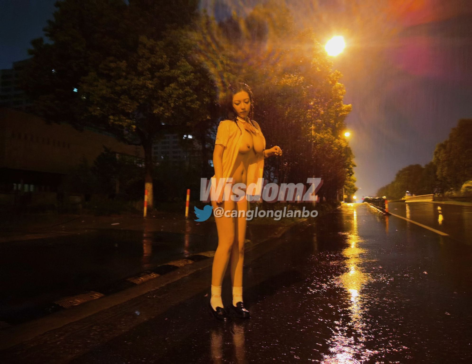 酒月： 极品巨乳 人前露出私拍