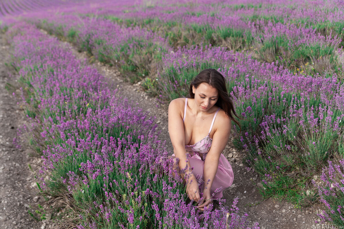 MetArt Sumiko - Lavender Fields Part01 57 MetArt Sumiko - Lavender Fields Part01