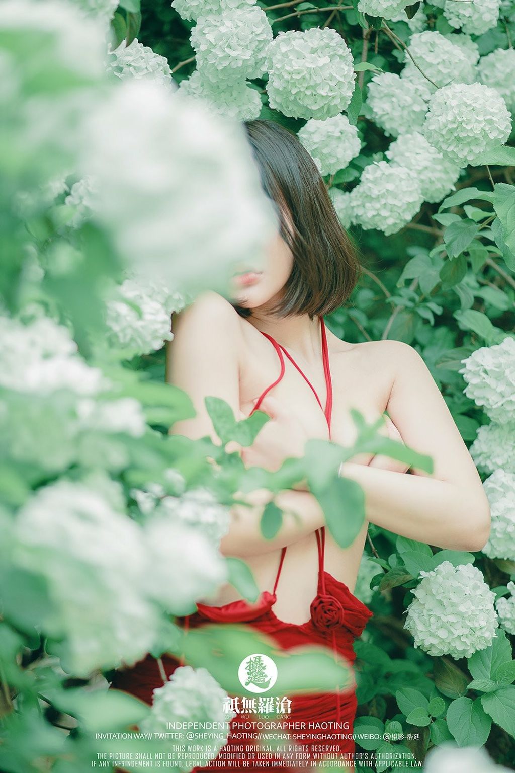 浩廷： sheying_haoting
