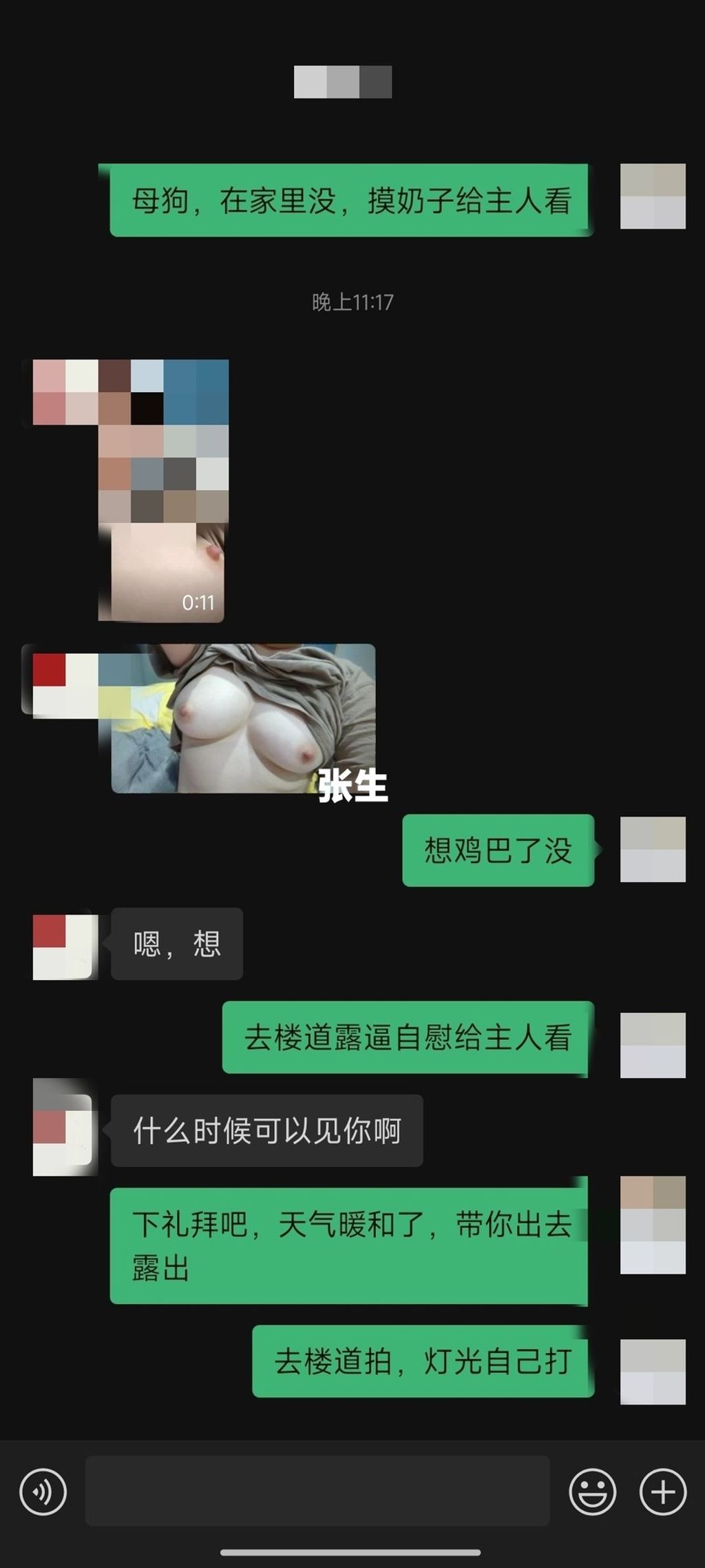 [OtherXXX] 张生： 淫妻大神分享娇妻 塞着跳蛋逛公园