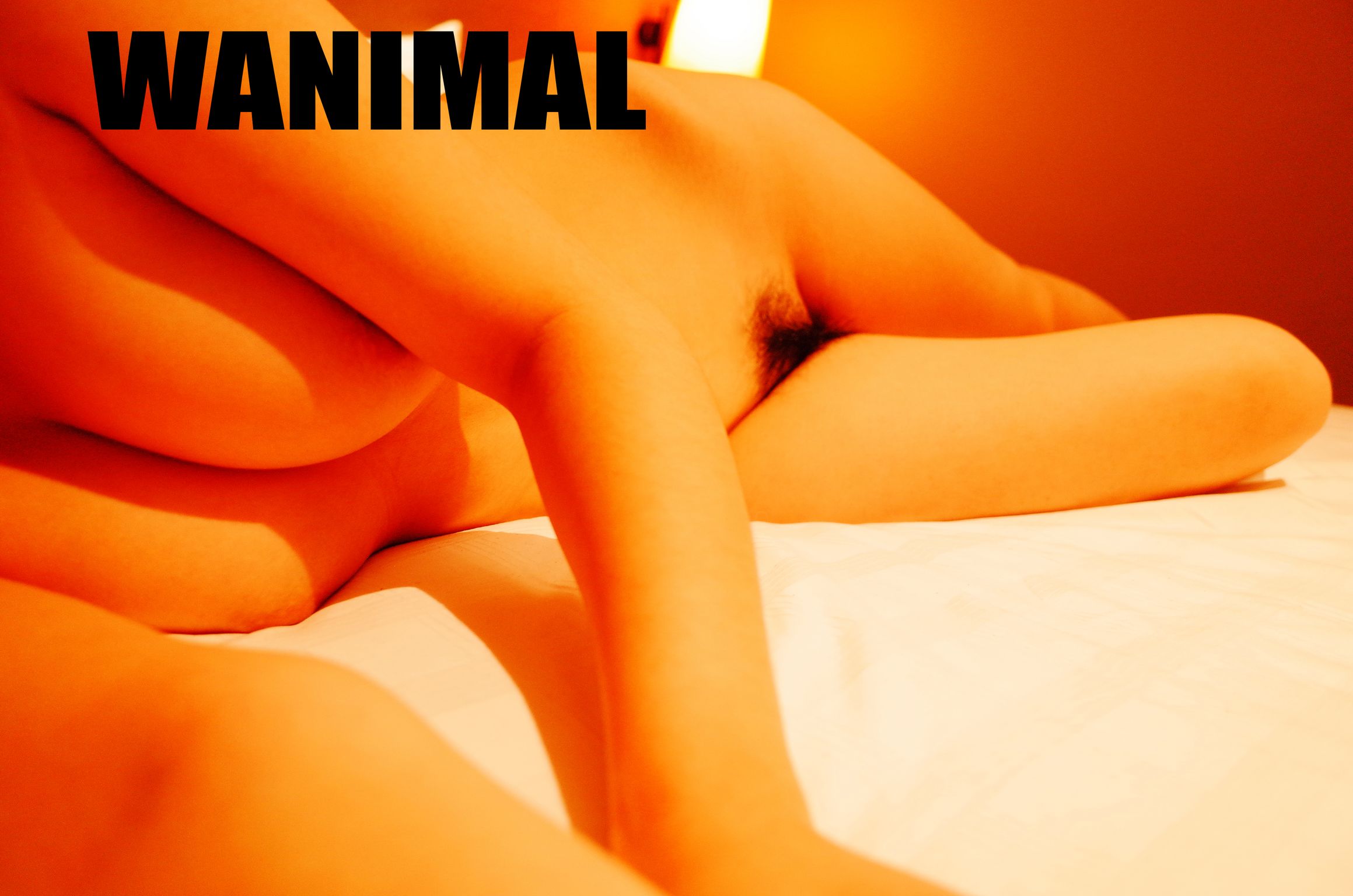 [WANIMAL王动] VIP套图 官方出品 No.05
