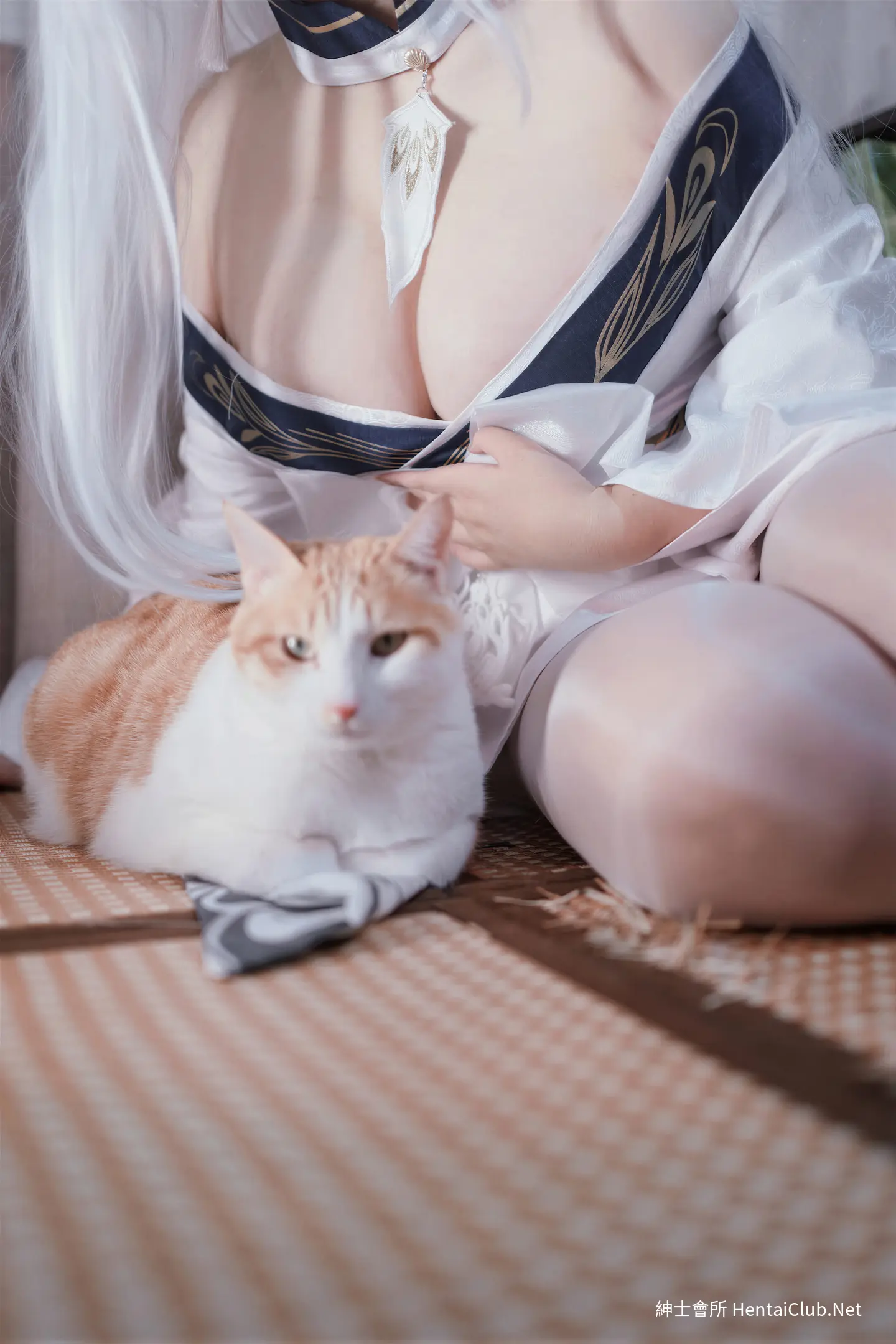 阿半今天很开心 碧蓝航线 白凤 和服 53 阿半今天很开心 碧蓝航线 白凤 和服