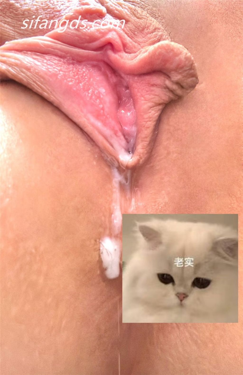 阳漾： X福利姬 角色扮演私拍