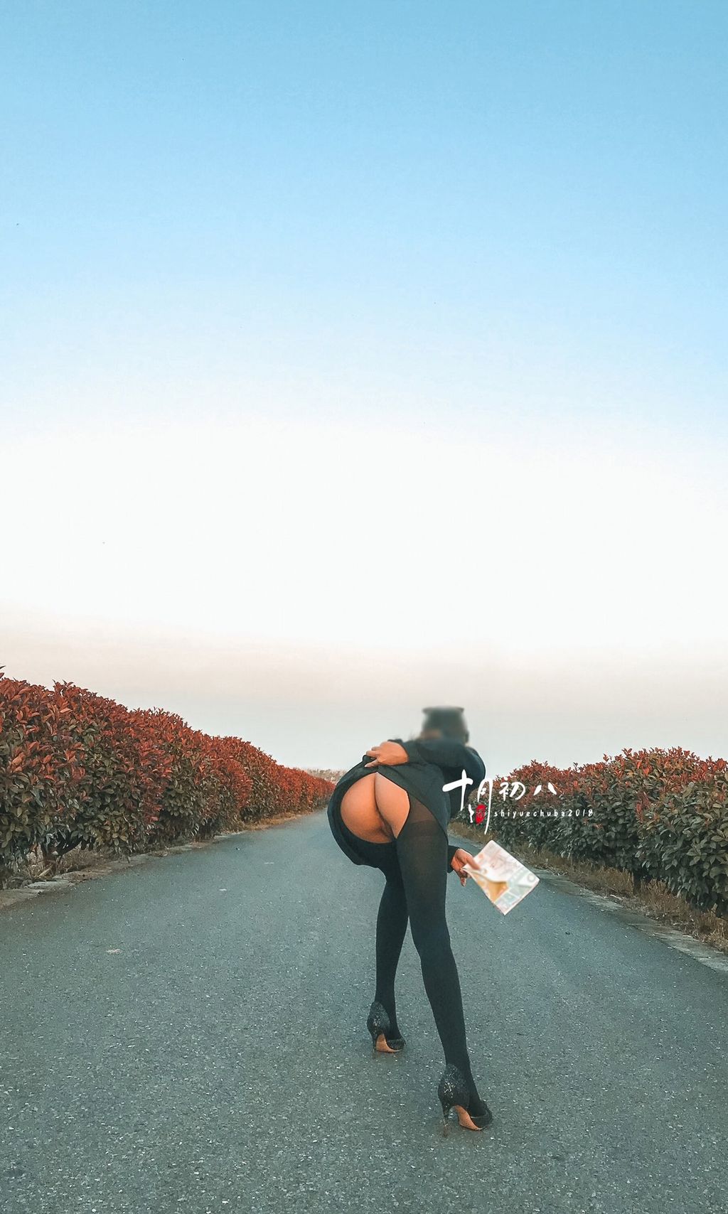 十月初八： 人前露出私拍合集