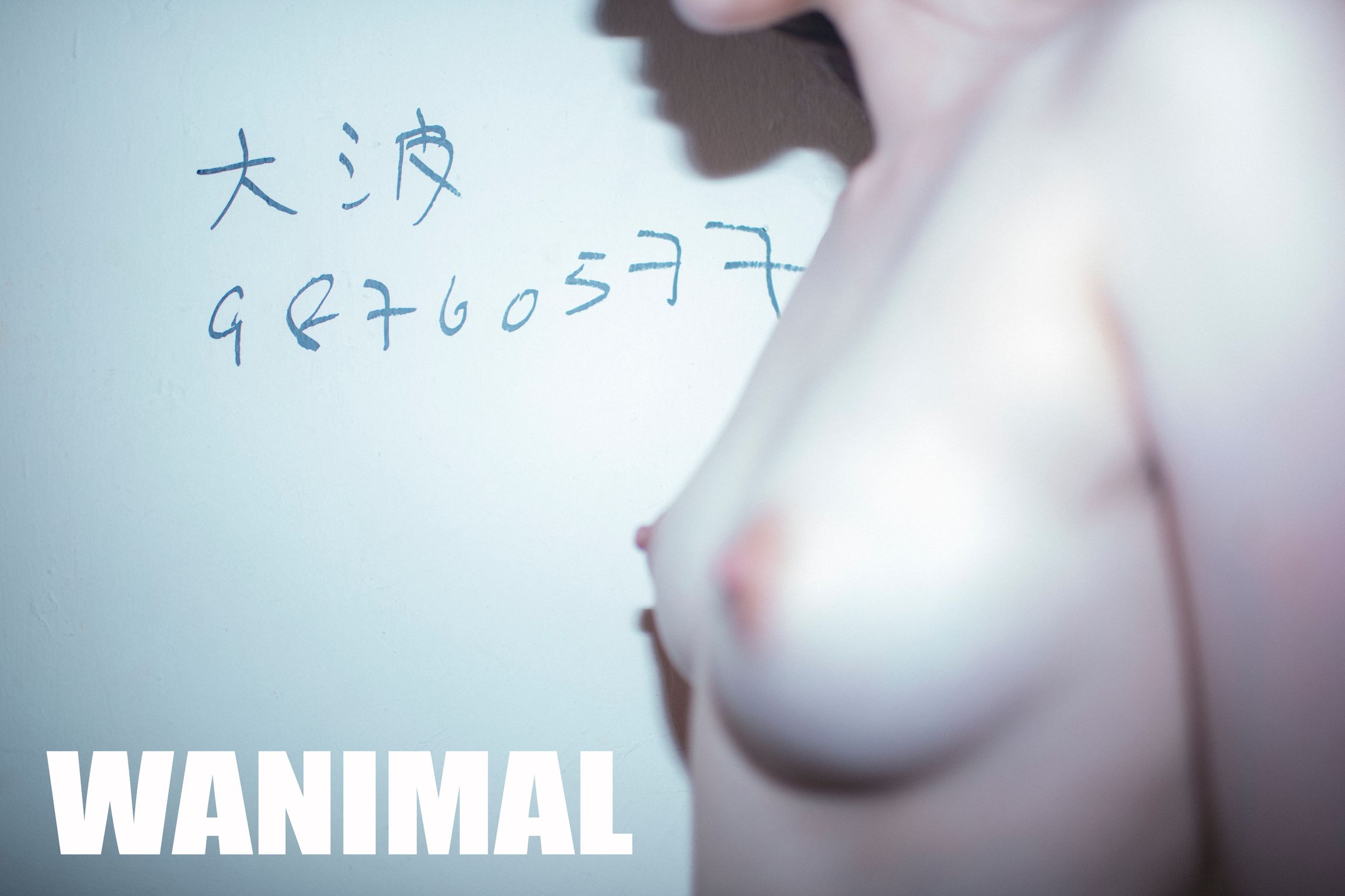 [WANIMAL王动] VIP套图 官方出品 No.03