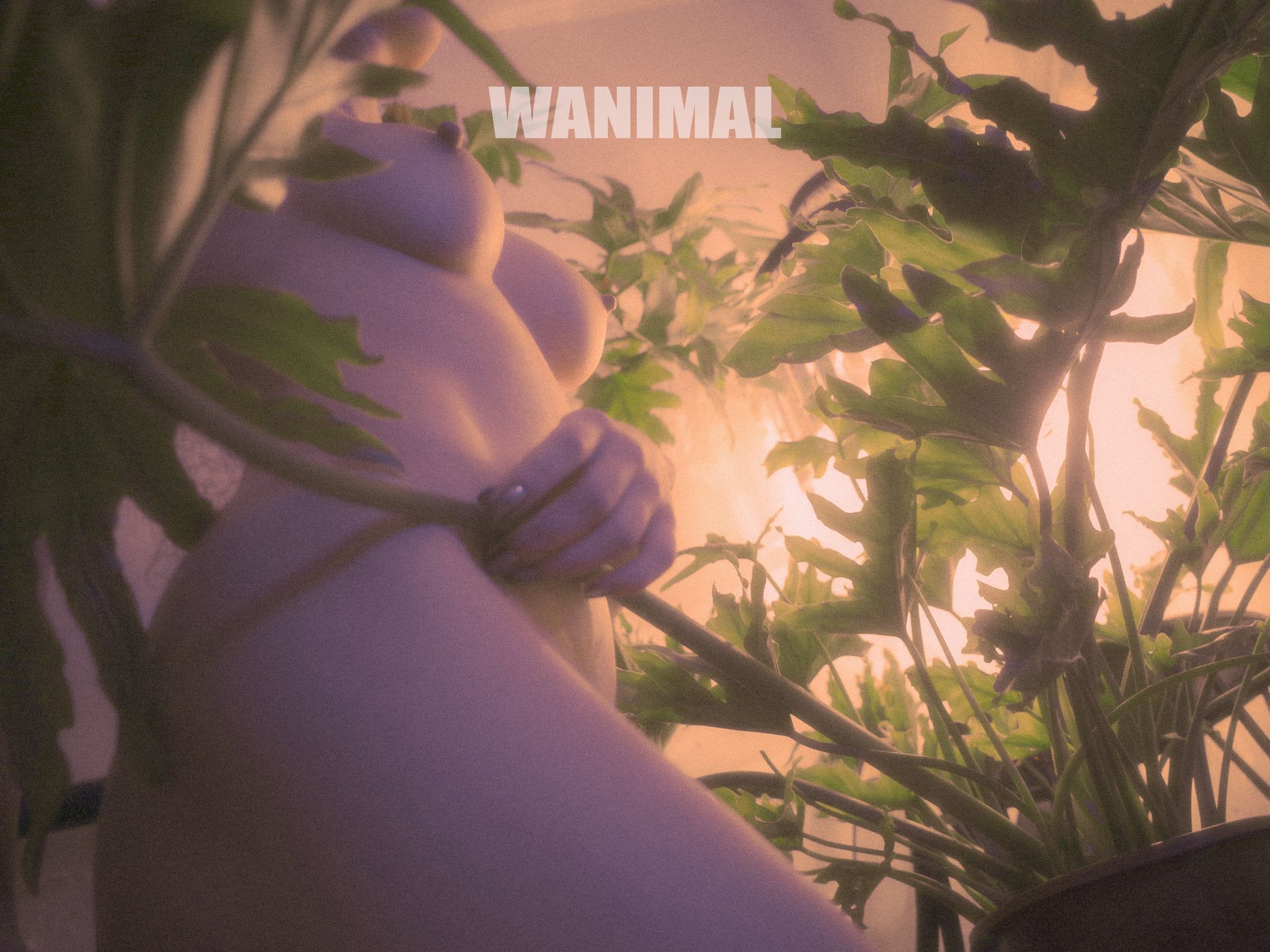 [WANIMAL王动] VIP套图 官方出品 No.01