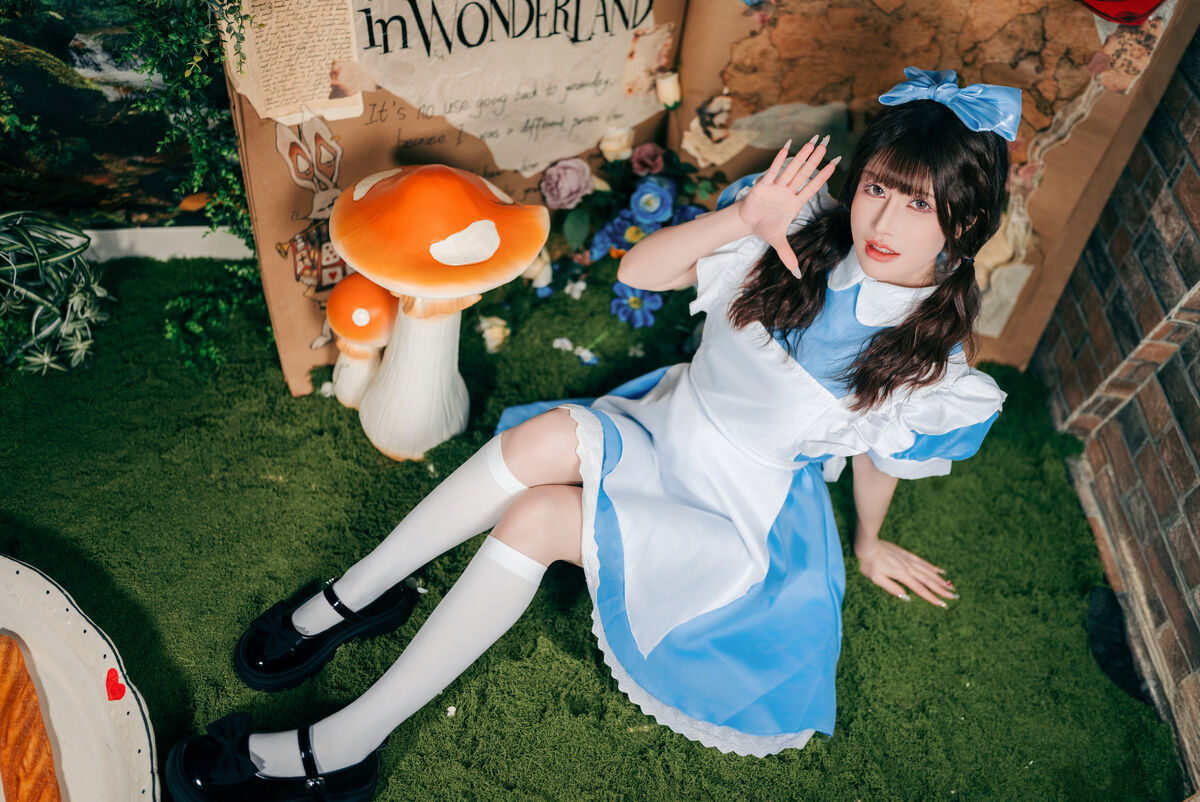 Coser@鹿八岁 - 爱丽丝梦游仙境 25 Coser@鹿八岁 - 爱丽丝梦游仙境