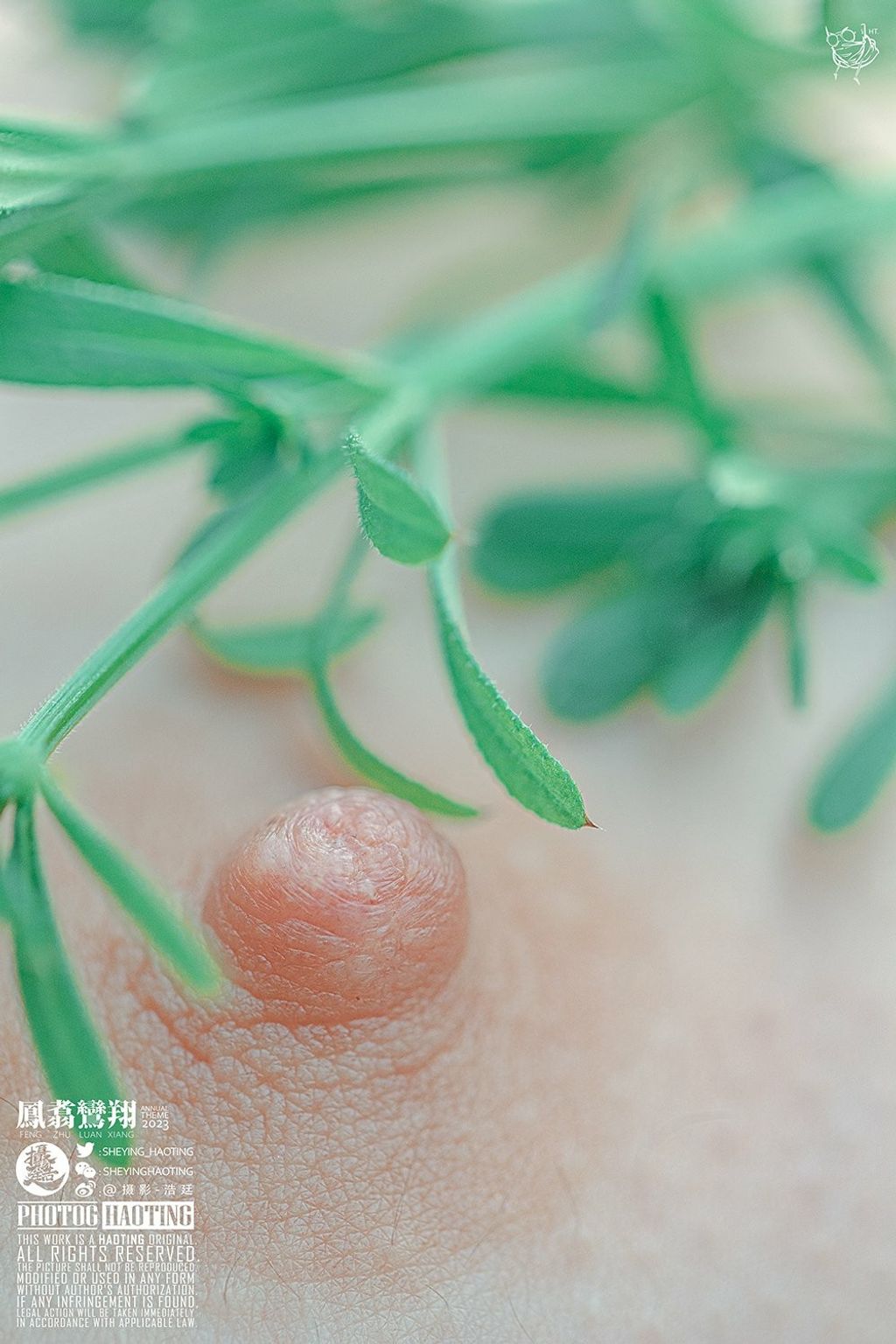 浩廷： sheying_haoting