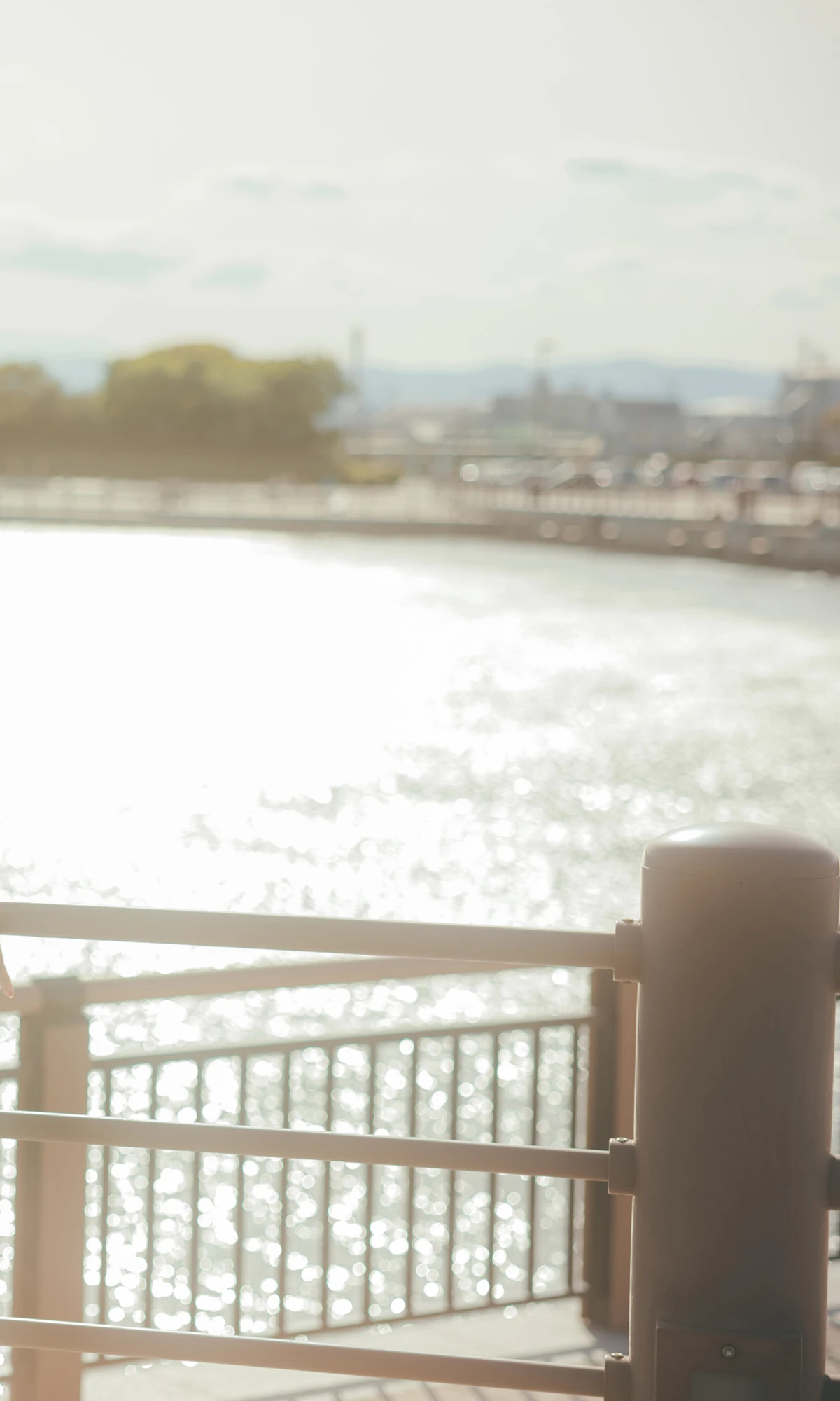 Iori Sagara 相楽伊織, 写真集 「more and more」