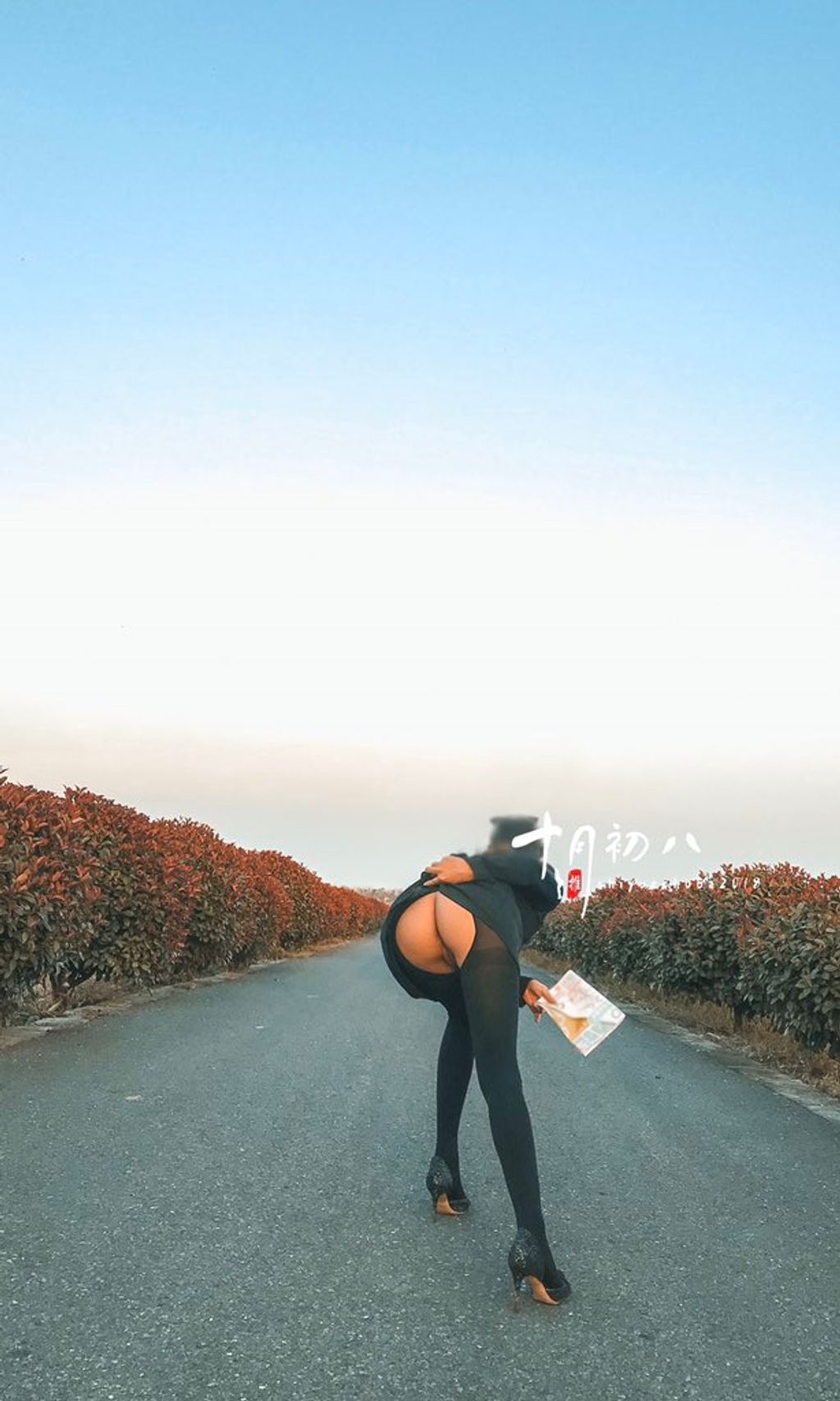 十月初八： 人前露出私拍合集