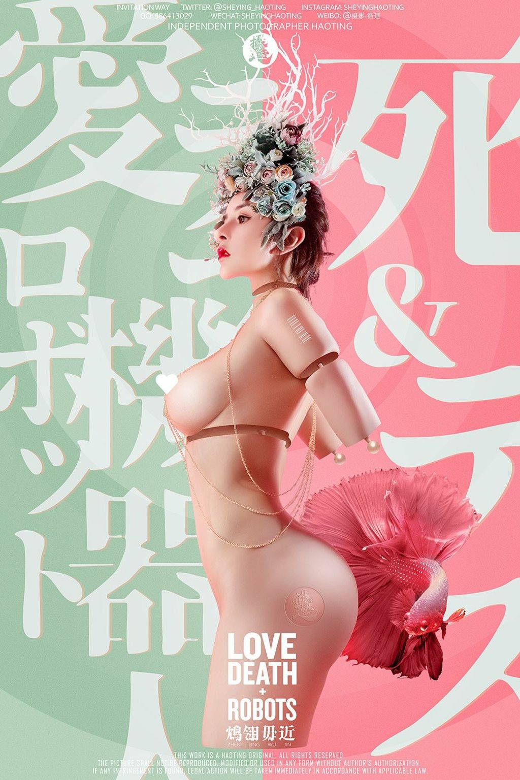 浩廷： sheying_haoting