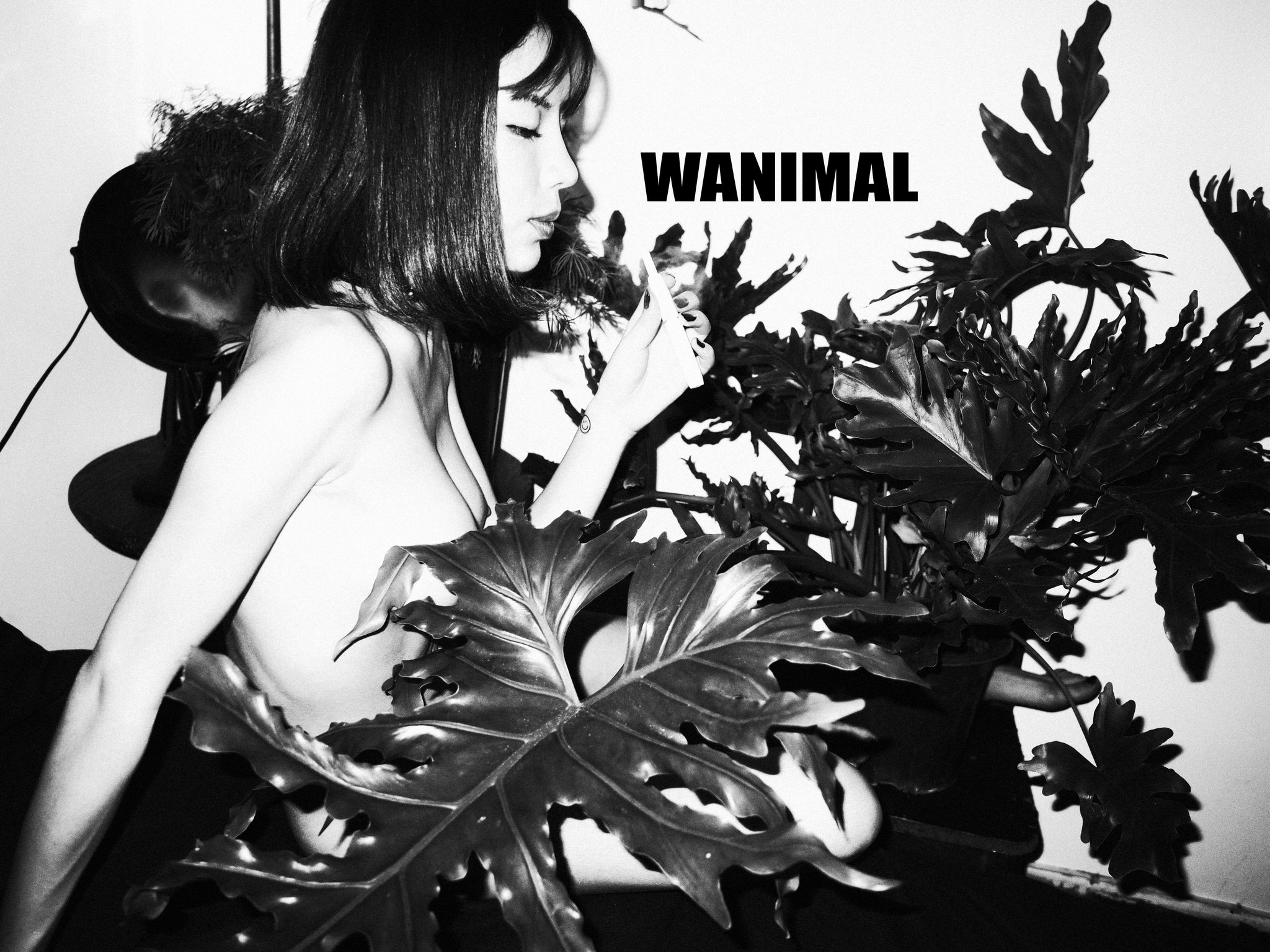 [WANIMAL王动] VIP套图 官方出品 No.01