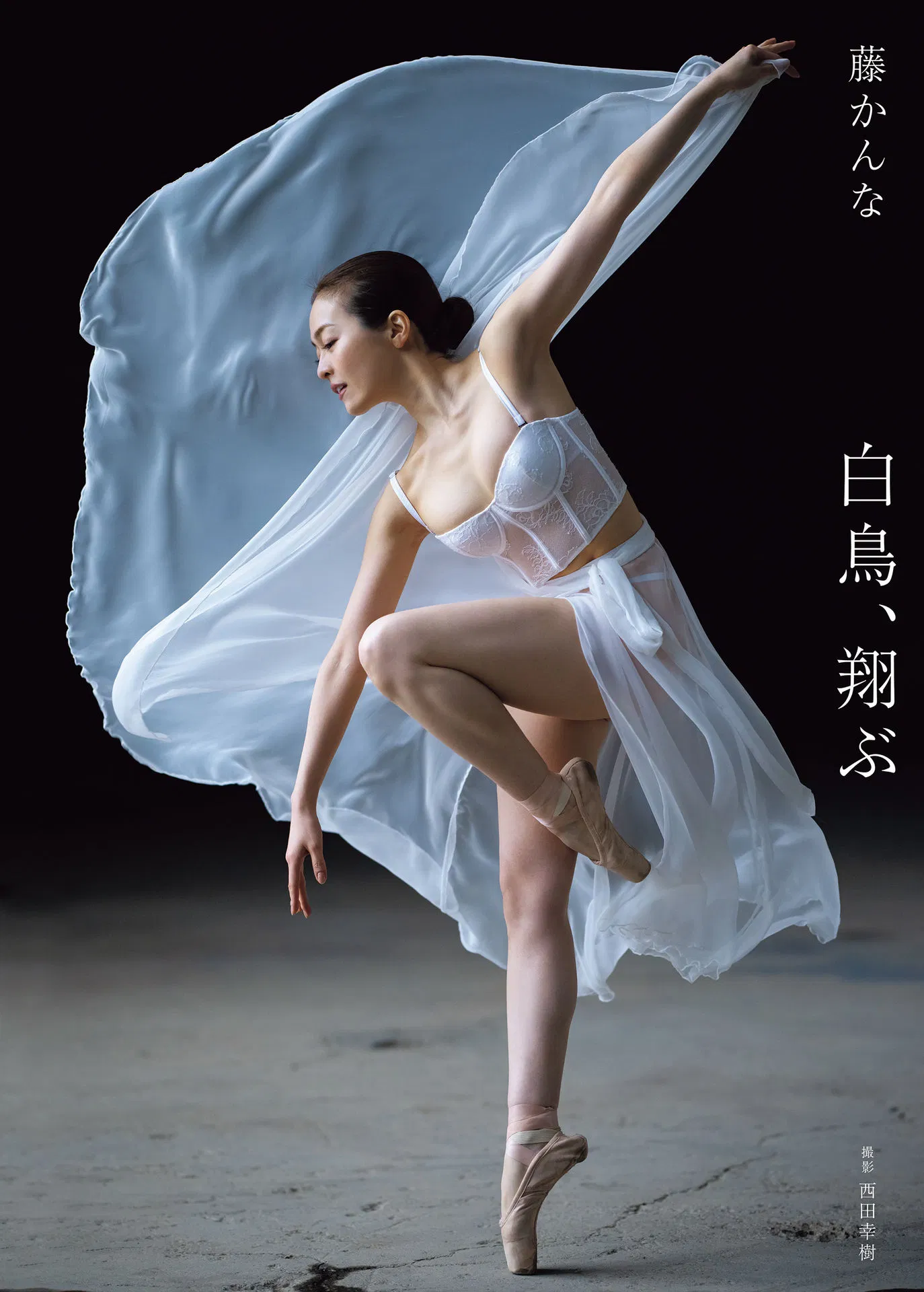 アサ芸SEXY女優写真集 藤かんな写真集 白鳥、翔ぶ