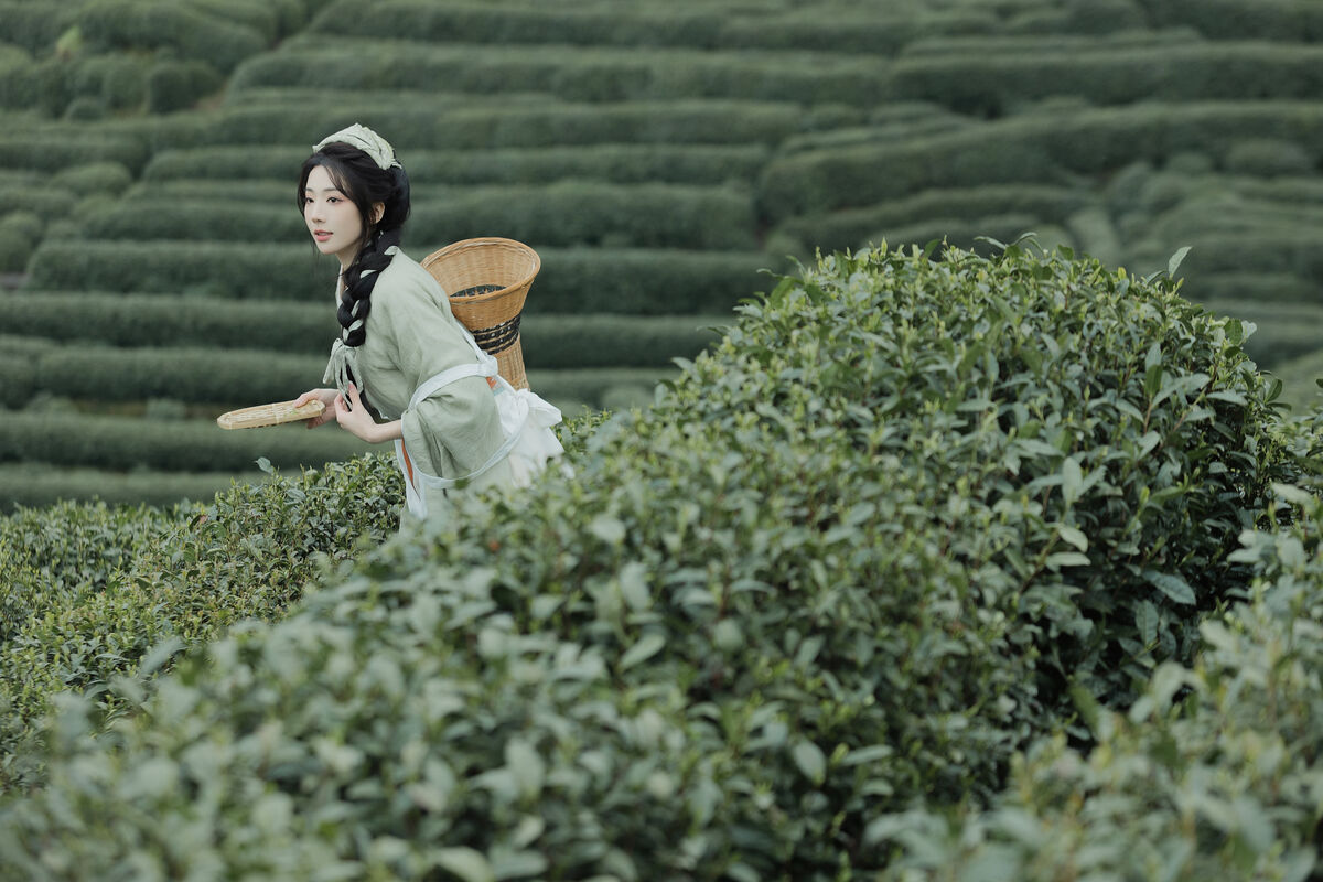 YiTuYu艺图语 Vol.9791 Shi Nan Yuan Bu Shi Zhou 21 YiTuYu艺图语 Vol.9791 Shi Nan Yuan Bu Shi Zhou