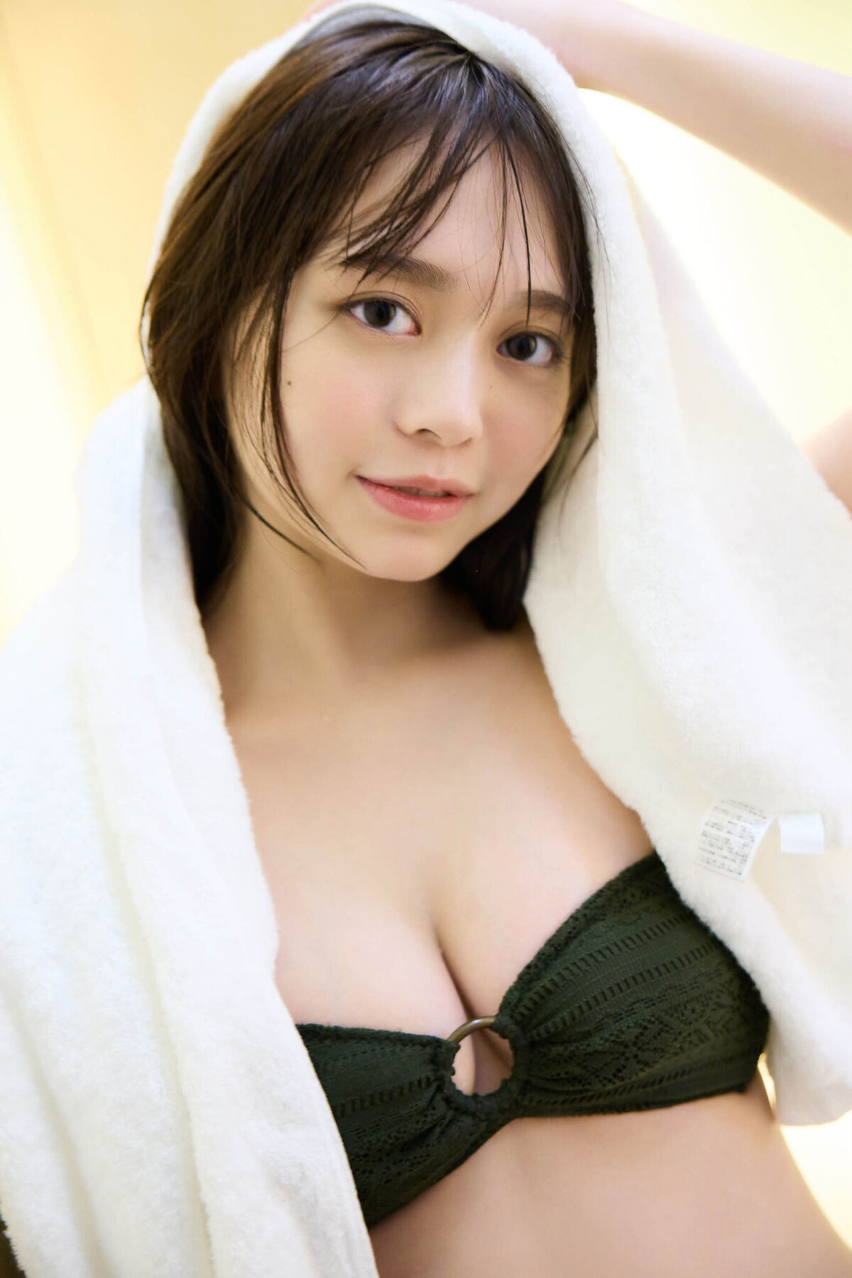 JP Mai Horai 蓬莱舞 - Transparent Depth 12 JP Mai Horai 蓬莱舞 - Transparent Depth
