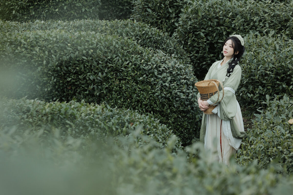 YiTuYu艺图语 Vol.9791 Shi Nan Yuan Bu Shi Zhou 49 YiTuYu艺图语 Vol.9791 Shi Nan Yuan Bu Shi Zhou