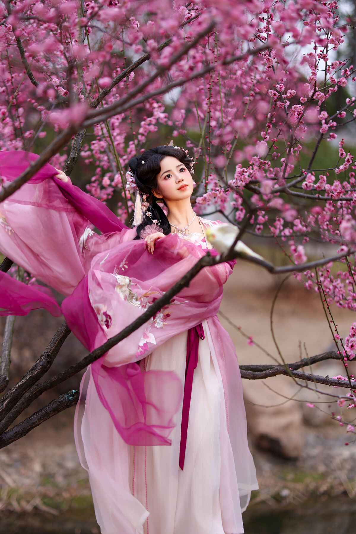 YiTuYu艺图语 Vol.9473 Xiao Du Tong Xue 30 YiTuYu艺图语 Vol.9473 Xiao Du Tong Xue
