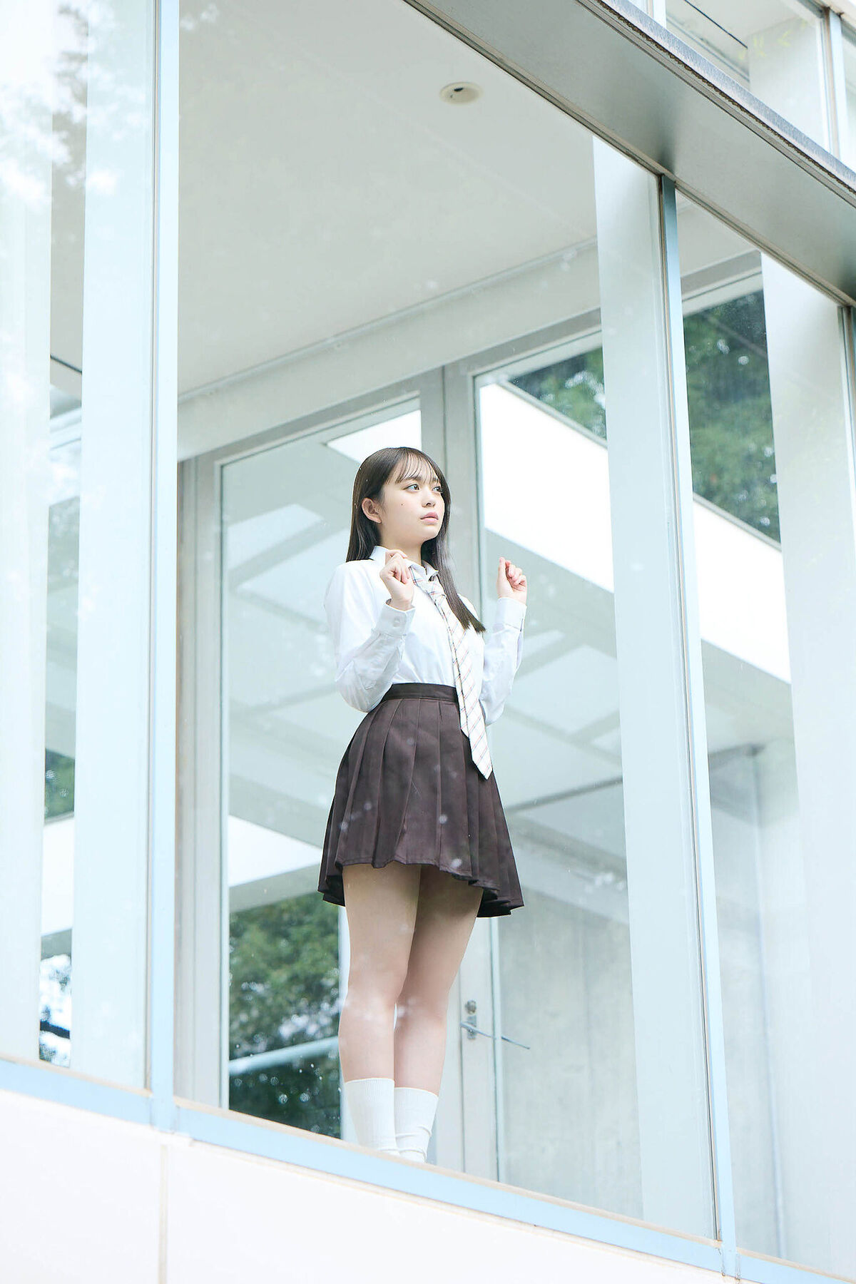 JP Mai Horai 蓬莱舞 - Transparent Depth 33 JP Mai Horai 蓬莱舞 - Transparent Depth