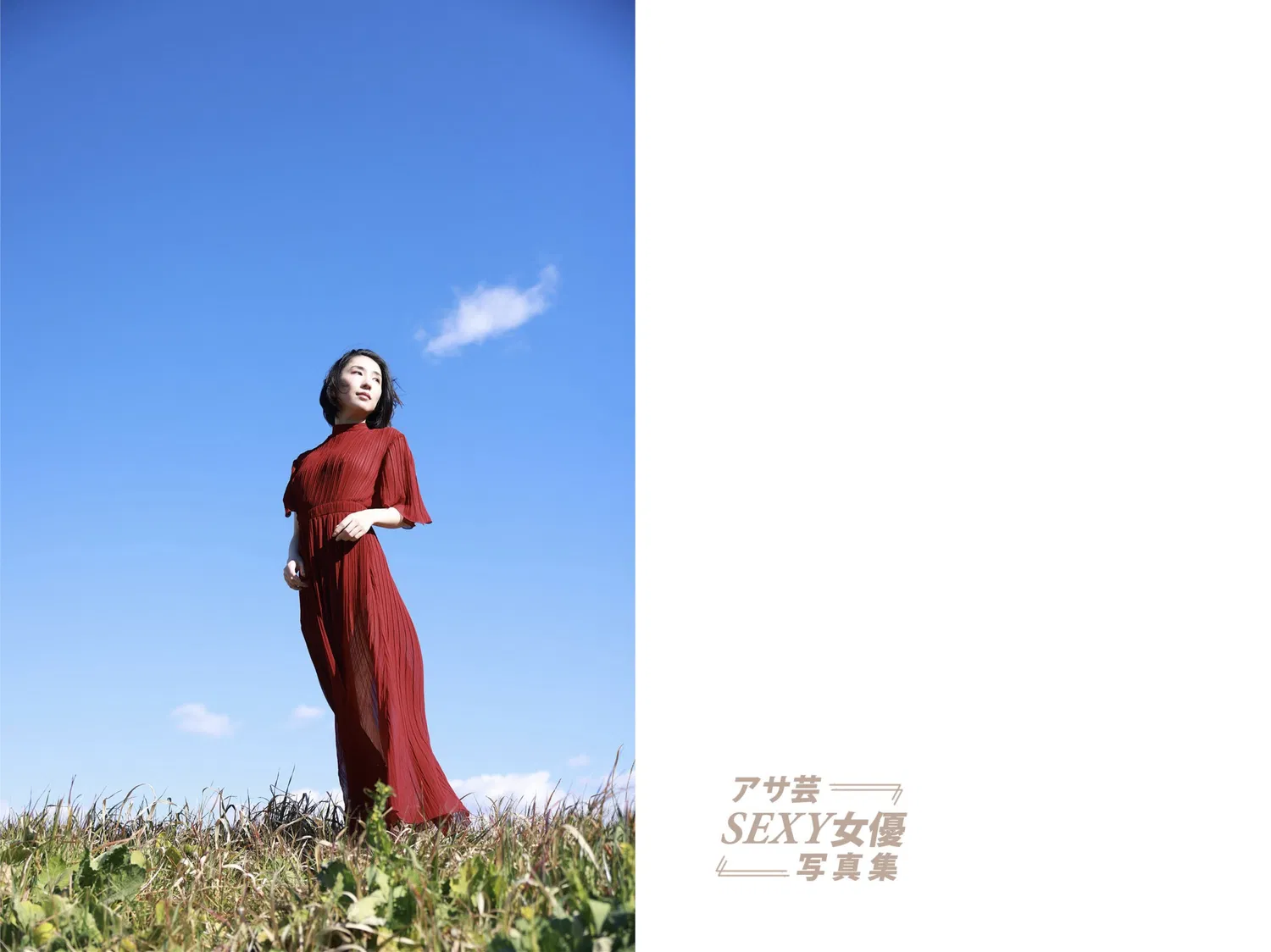 アサ芸SEXY女優写真集 聖ひばり 聖なるエロス 30 アサ芸SEXY女優写真集 聖ひばり 聖なるエロス