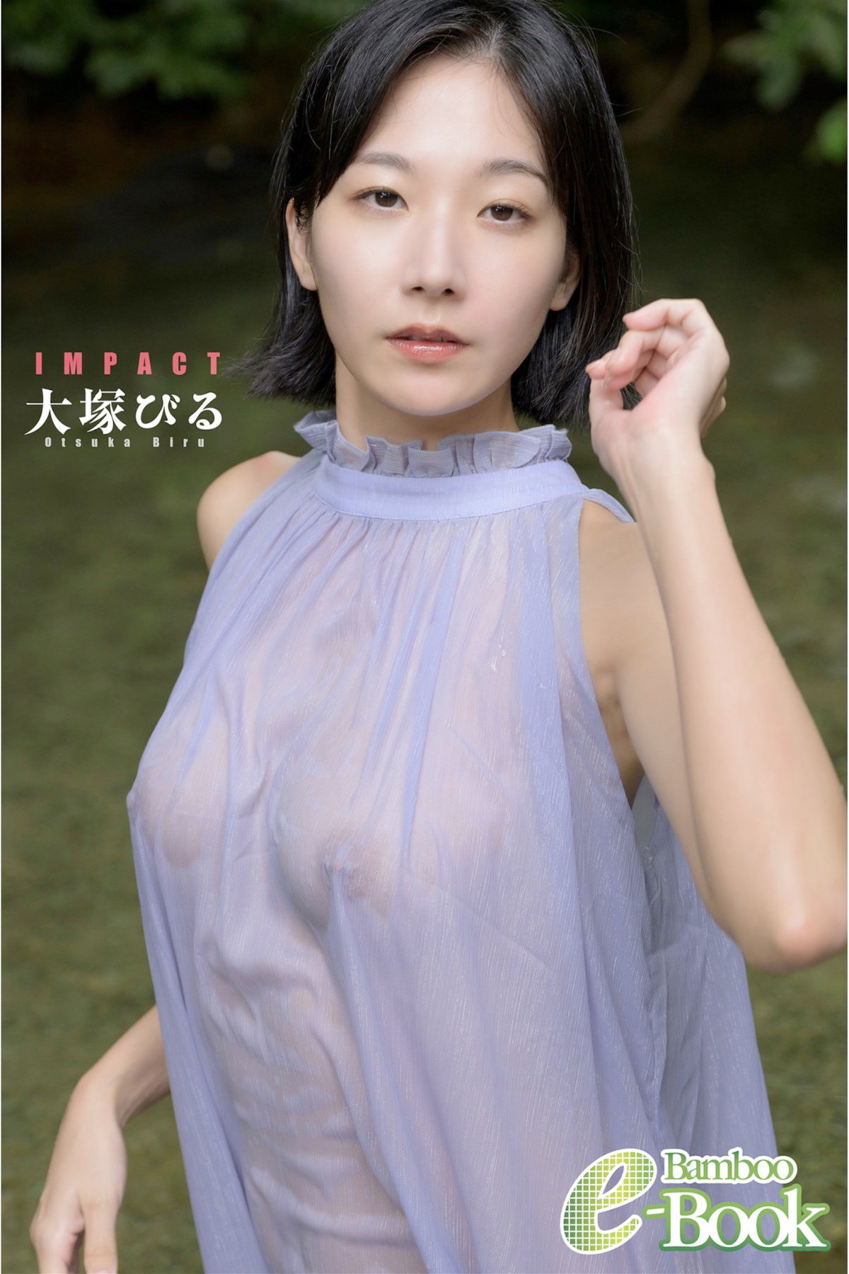 JP Biru Otsuka 大塚びる – Bamboo e-Book Impact