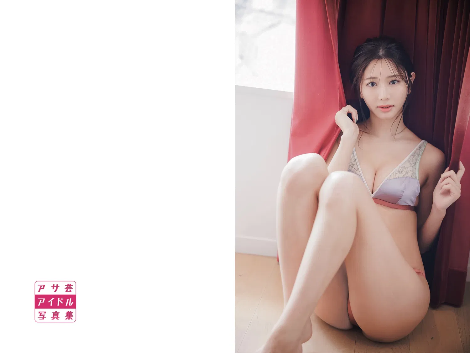 アサ芸アイドル写真集 斎藤恭代BIJIN 45 アサ芸アイドル写真集 斎藤恭代BIJIN