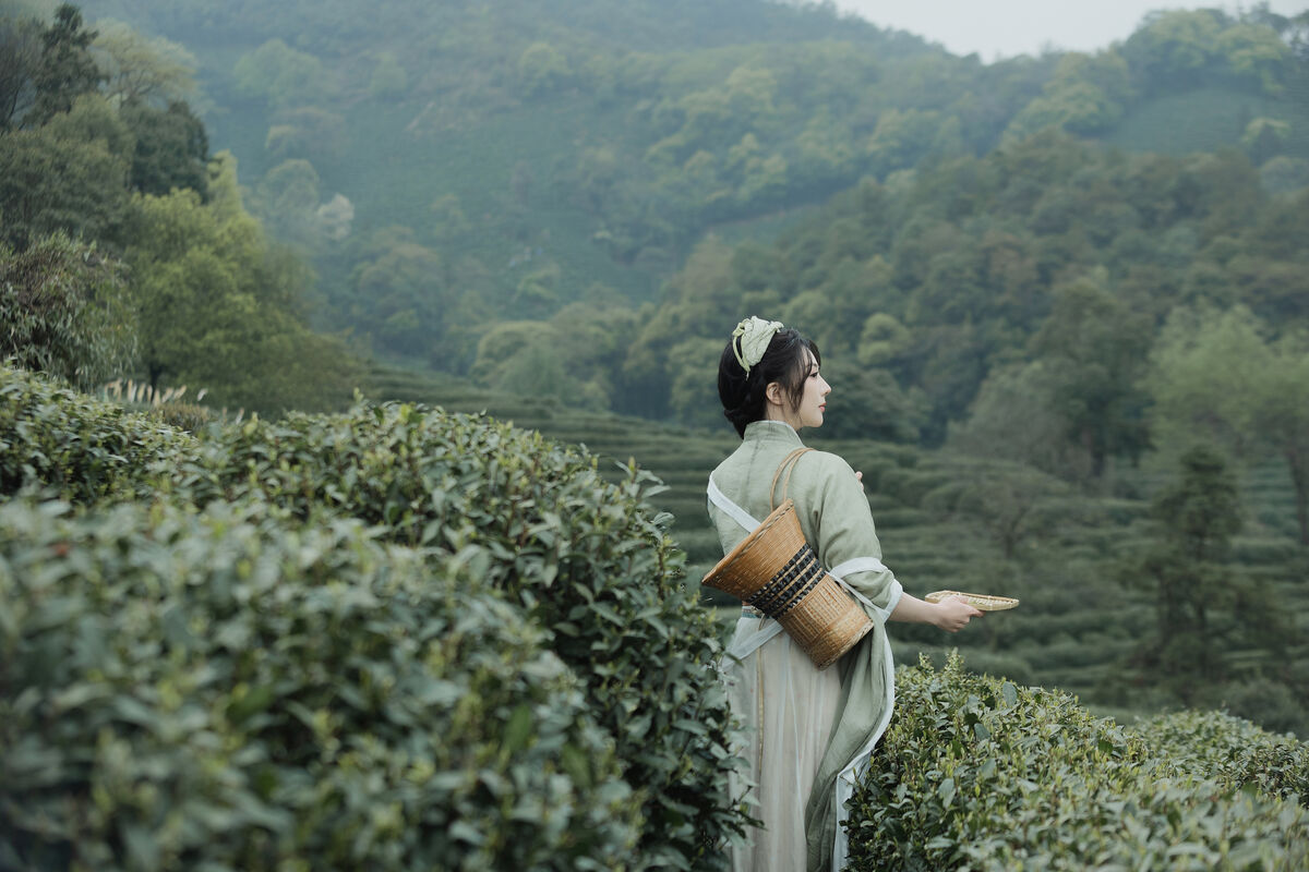 YiTuYu艺图语 Vol.9791 Shi Nan Yuan Bu Shi Zhou 76 YiTuYu艺图语 Vol.9791 Shi Nan Yuan Bu Shi Zhou