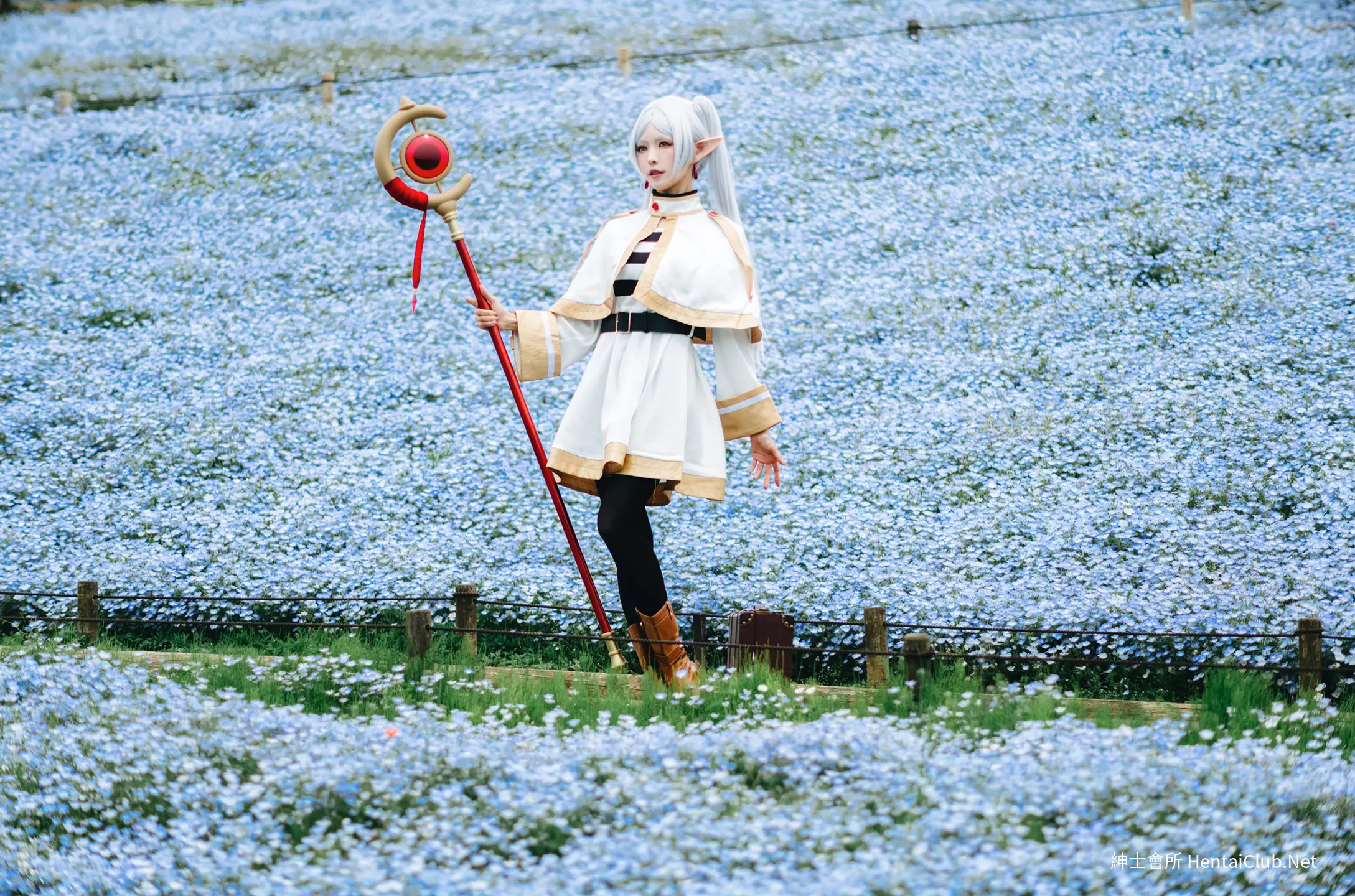 Elyee 202606 Set A Frieren in the Flower Sea 花海芙莉蓮 11 Elyee 202606 Set A Frieren in the Flower Sea 花海芙莉蓮
