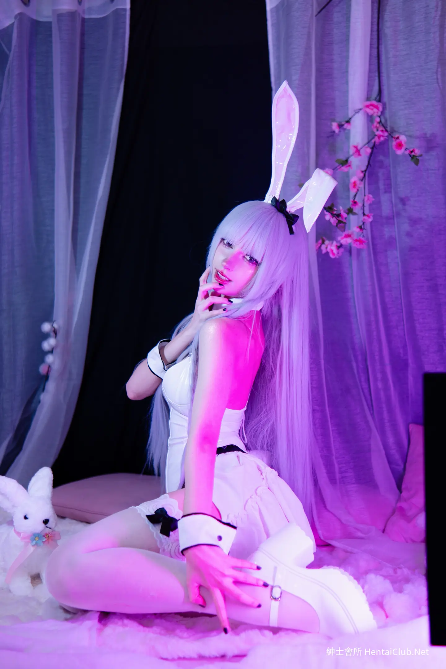Himee Bunny Francesca Prelati 13 Himee Bunny Francesca Prelati