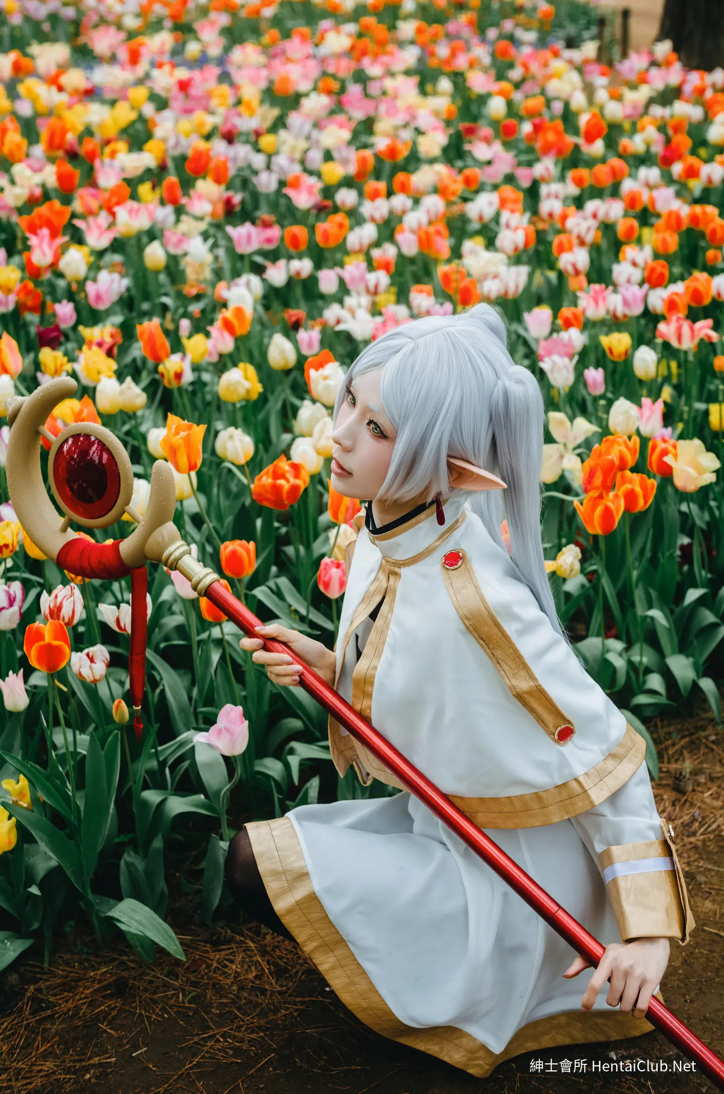 Elyee 202606 Set A Frieren in the Flower Sea 花海芙莉蓮 6 Elyee 202606 Set A Frieren in the Flower Sea 花海芙莉蓮