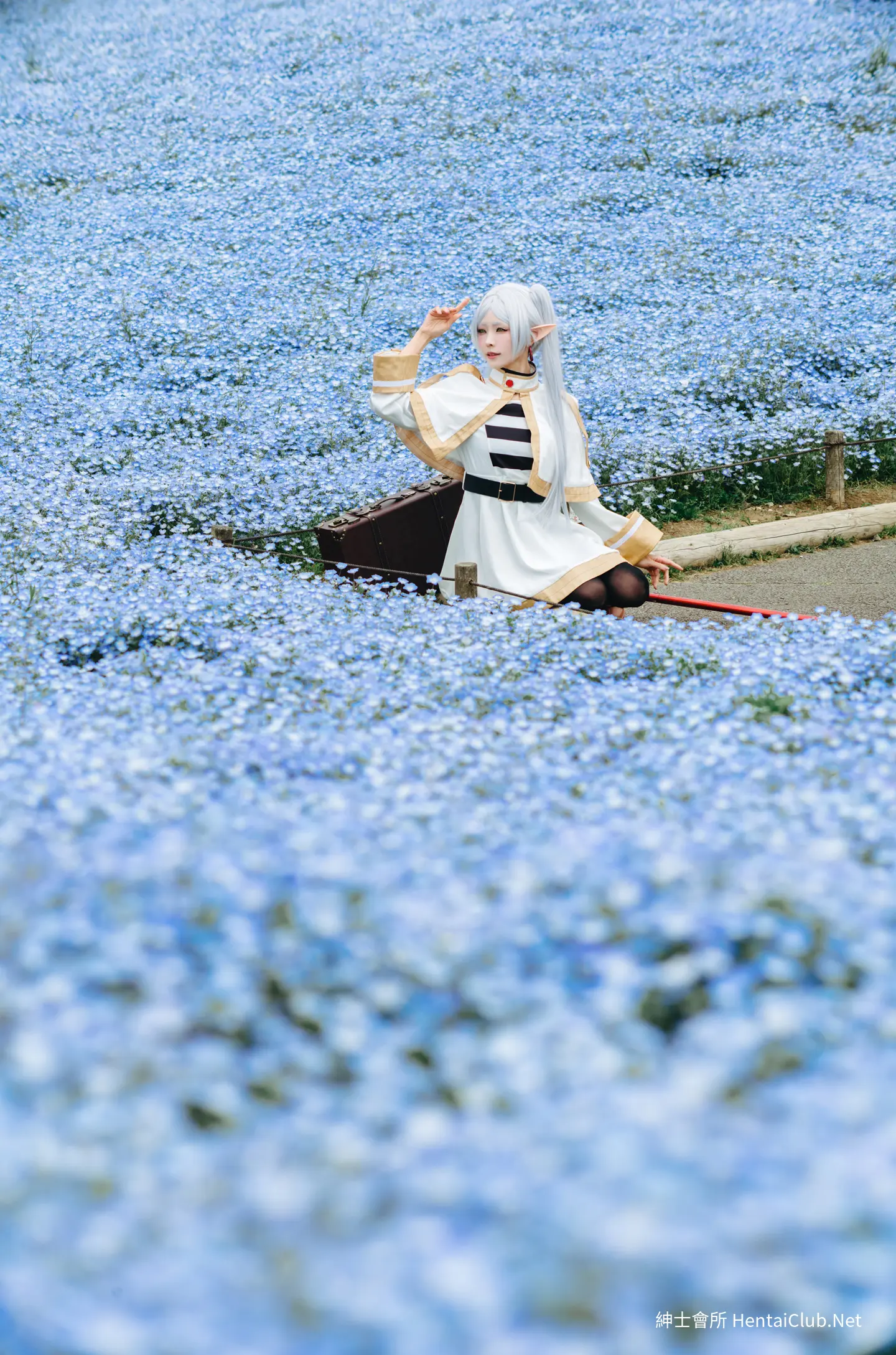 Elyee 202606 Set A Frieren in the Flower Sea 花海芙莉蓮 8 Elyee 202606 Set A Frieren in the Flower Sea 花海芙莉蓮