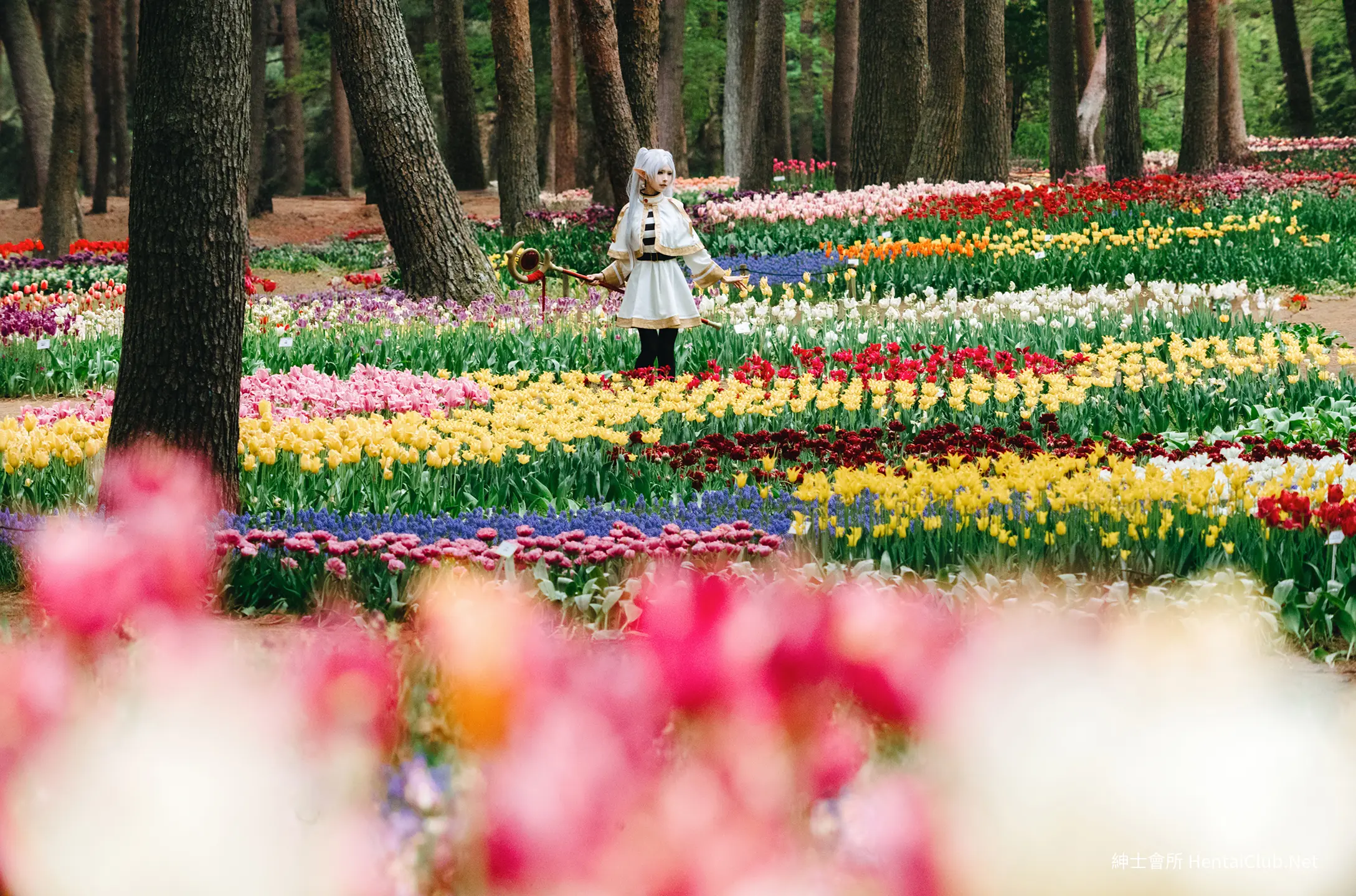 Elyee 202606 Set A Frieren in the Flower Sea 花海芙莉蓮 10 Elyee 202606 Set A Frieren in the Flower Sea 花海芙莉蓮