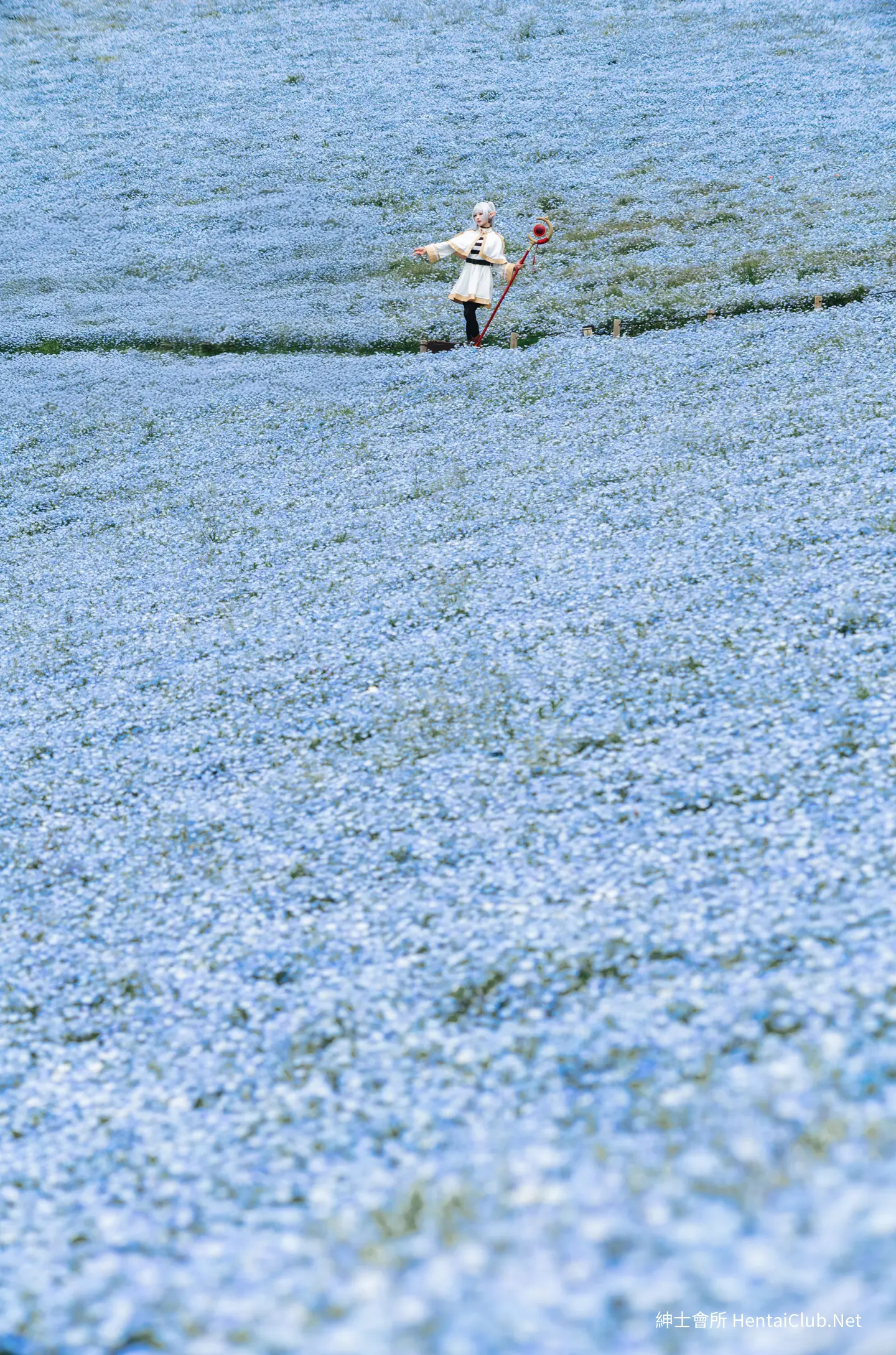 Elyee 202606 Set A Frieren in the Flower Sea 花海芙莉蓮 12 Elyee 202606 Set A Frieren in the Flower Sea 花海芙莉蓮