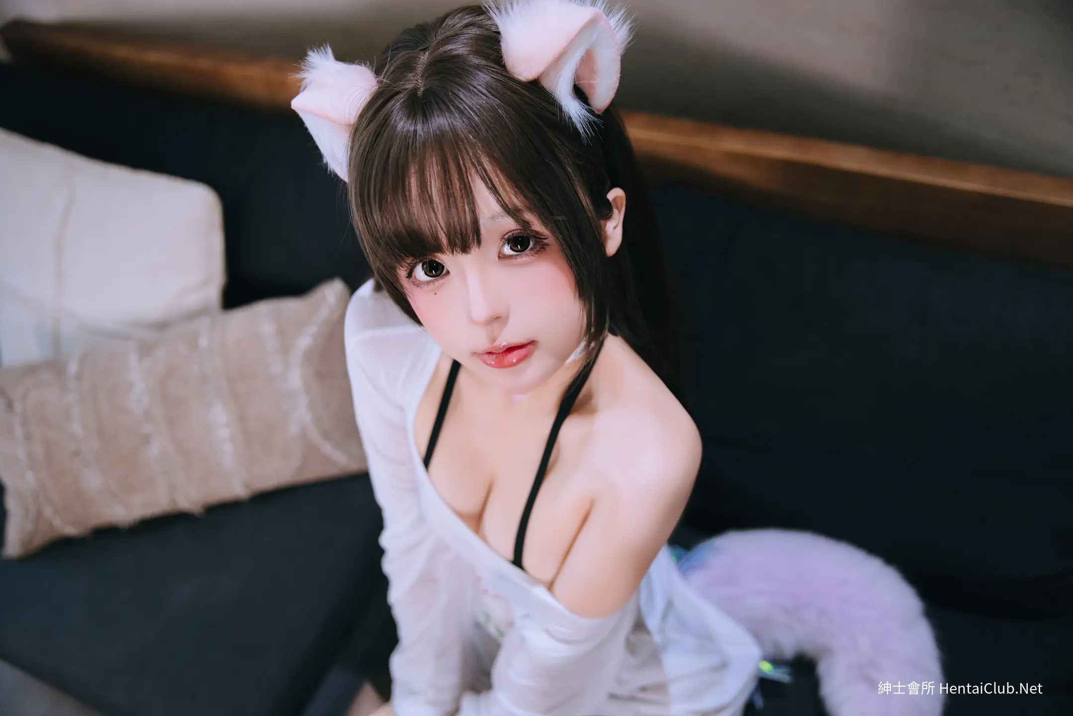 日奈娇 家里的猫 33 日奈娇 家里的猫