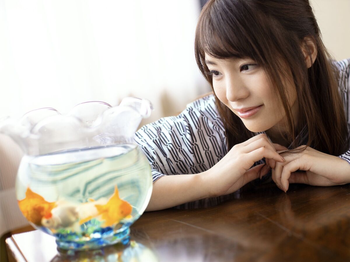 JP Suzumura Airi 鈴村あいり - 裏-あいり 溢れ出る大人のエロス Part02 17 JP Suzumura Airi 鈴村あいり - 裏-あいり 溢れ出る大人のエロス Part02