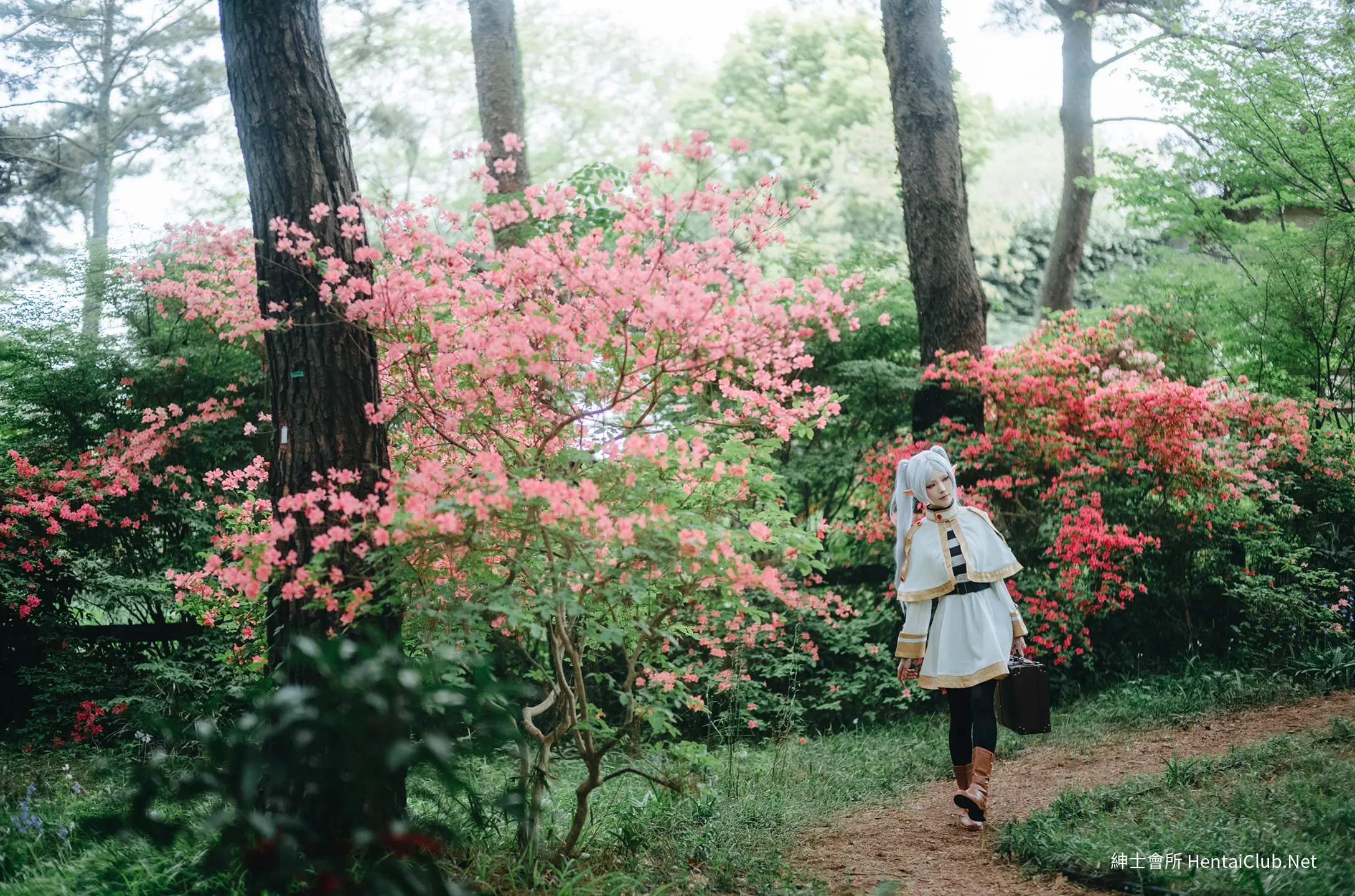 Elyee 202606 Set A Frieren in the Flower Sea 花海芙莉蓮 15 Elyee 202606 Set A Frieren in the Flower Sea 花海芙莉蓮
