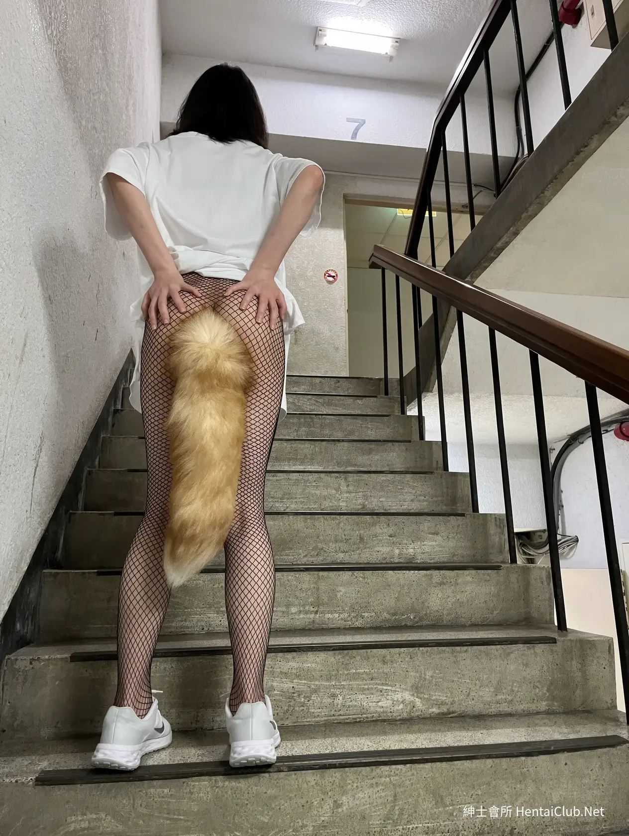 小洞物 散图合集 40 小洞物 散图合集