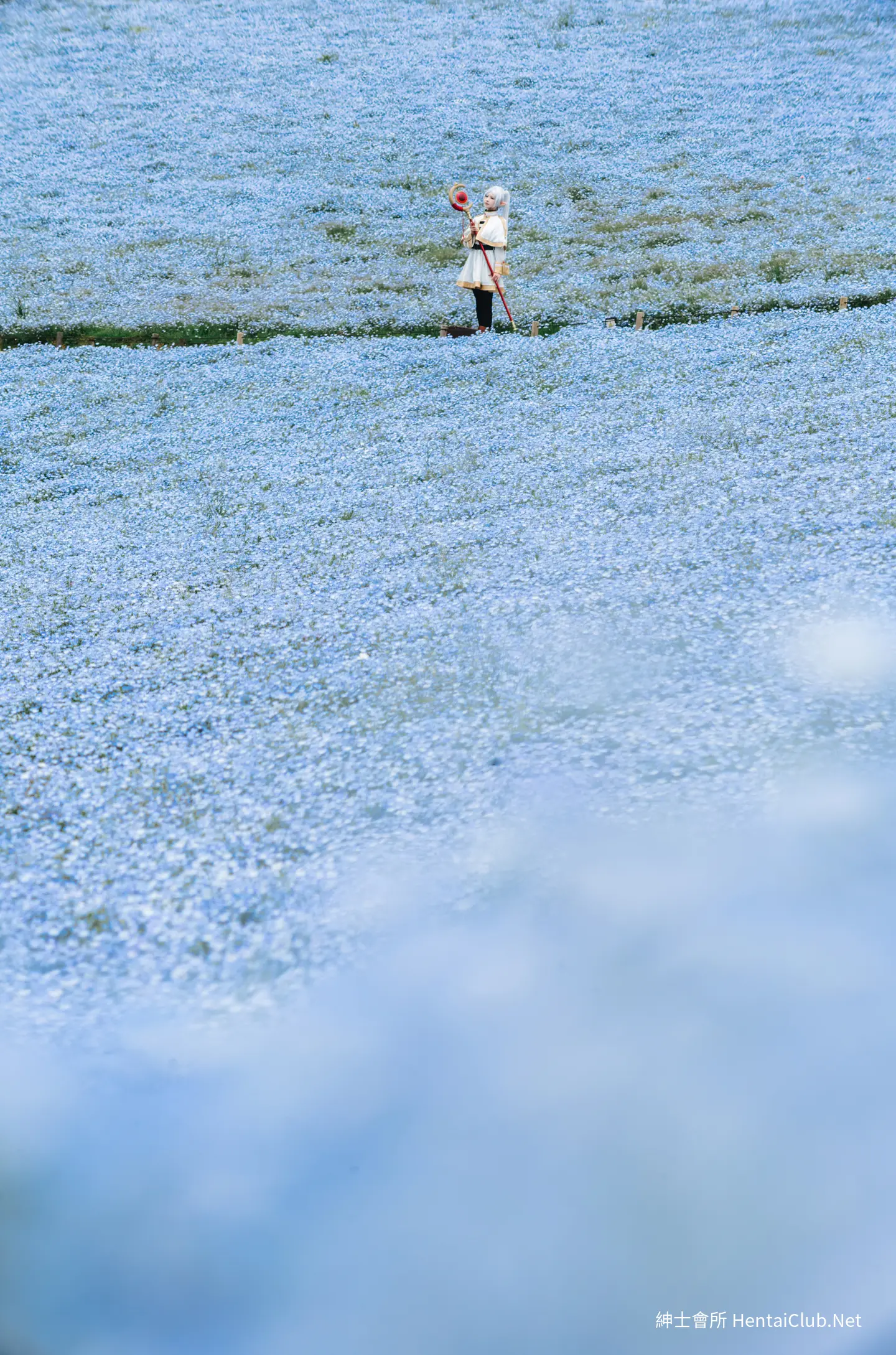 Elyee 202606 Set A Frieren in the Flower Sea 花海芙莉蓮 21 Elyee 202606 Set A Frieren in the Flower Sea 花海芙莉蓮