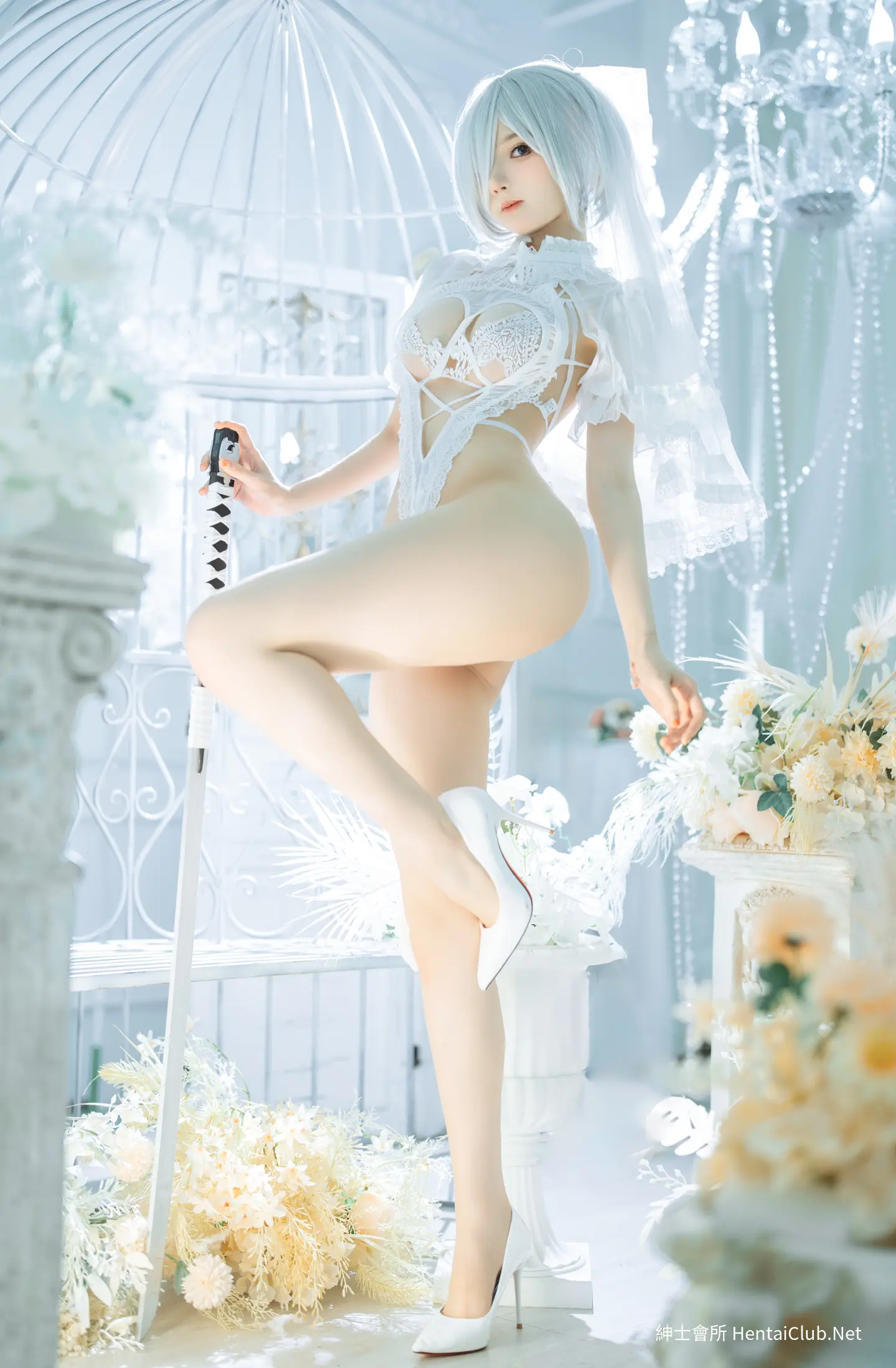 橙子喵酱 2B