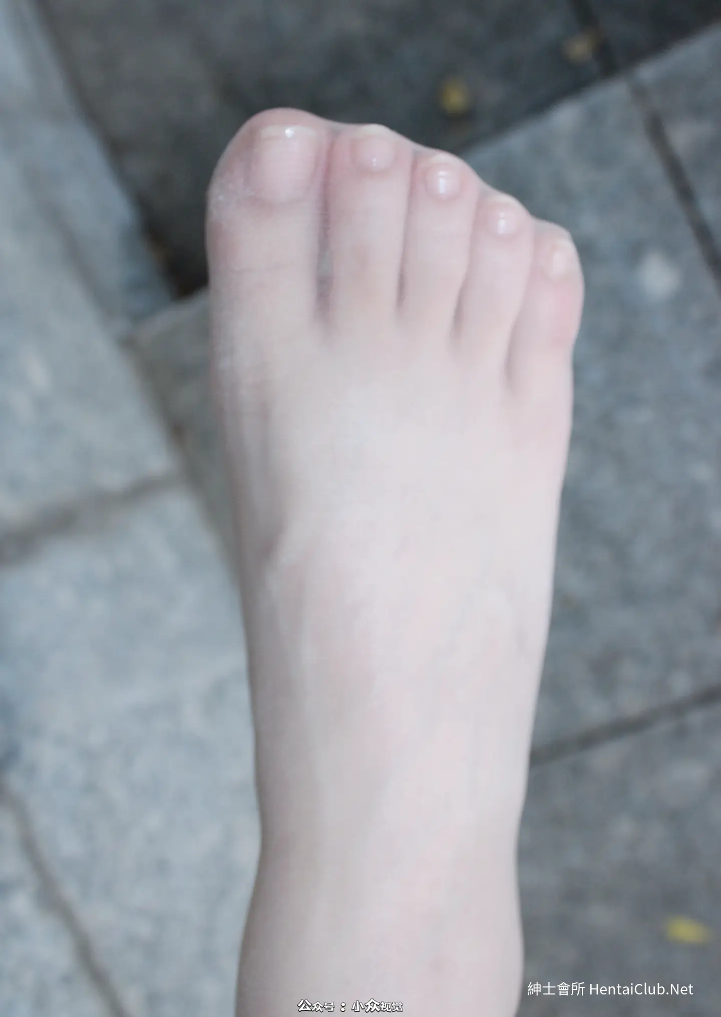 小薯条nienie 小众视觉 No.037 49 小薯条nienie 小众视觉 No.037