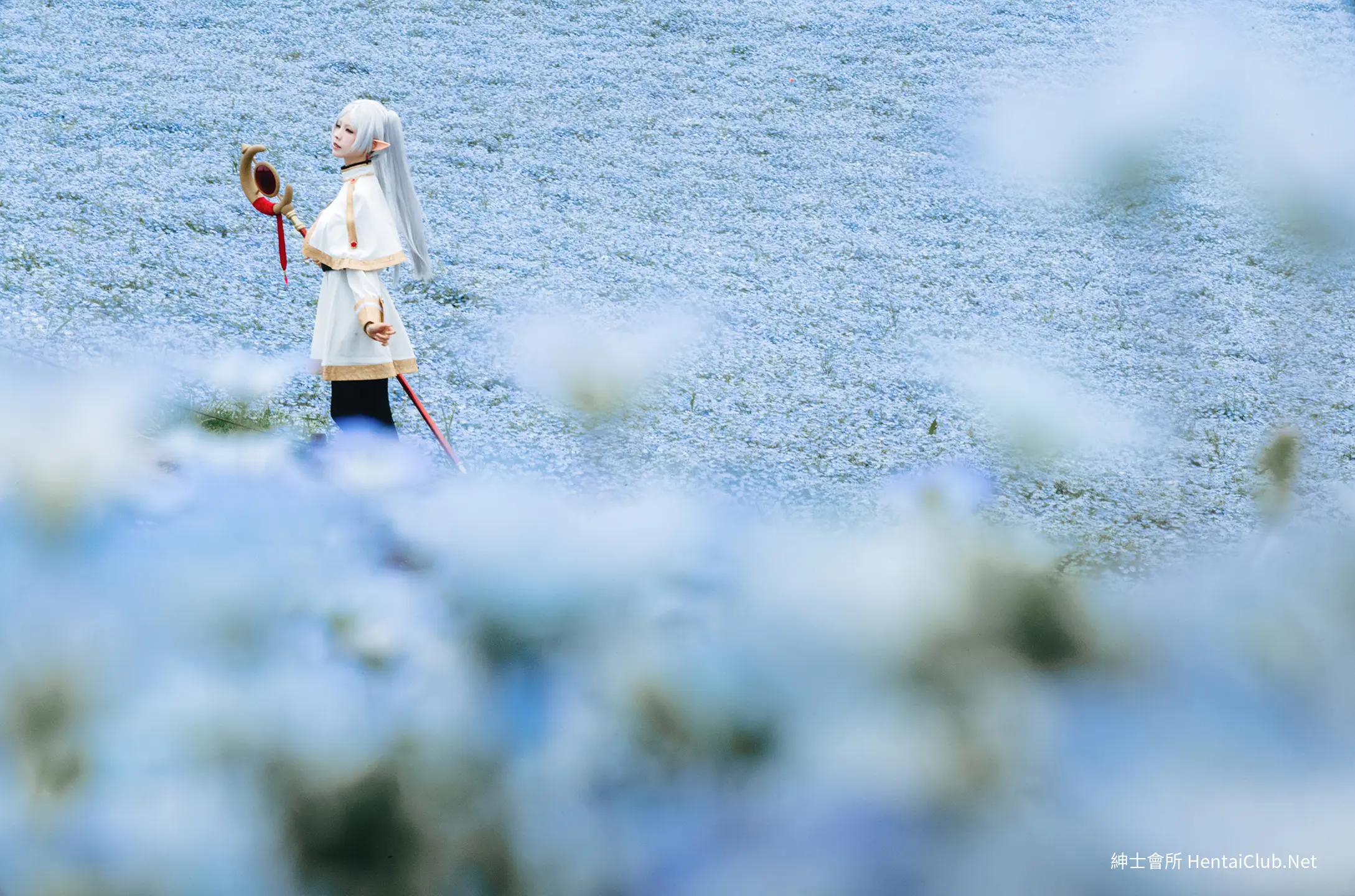 Elyee 202606 Set A Frieren in the Flower Sea 花海芙莉蓮 30 Elyee 202606 Set A Frieren in the Flower Sea 花海芙莉蓮
