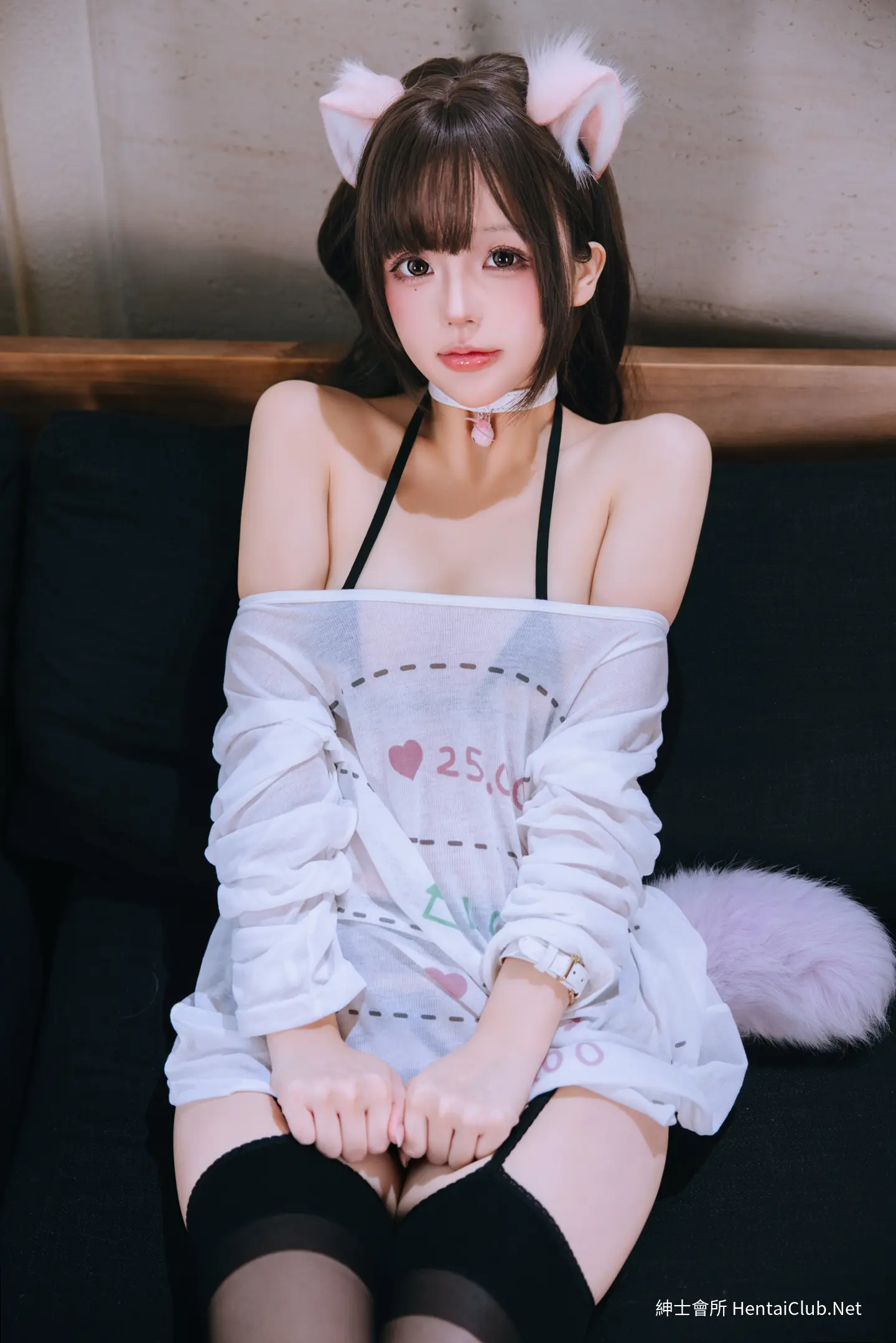 日奈娇 家里的猫 95 日奈娇 家里的猫