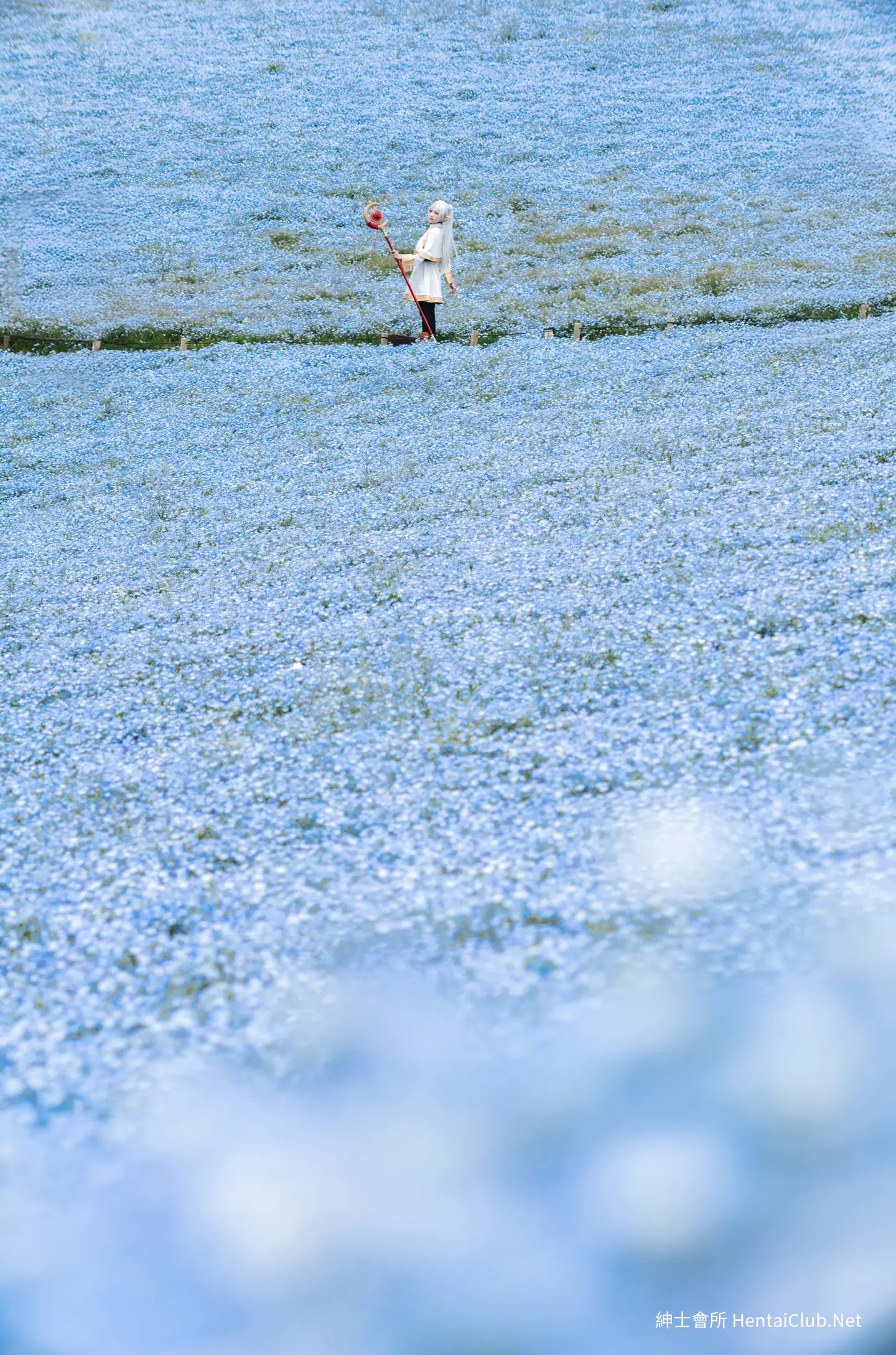 Elyee 202606 Set A Frieren in the Flower Sea 花海芙莉蓮 37 Elyee 202606 Set A Frieren in the Flower Sea 花海芙莉蓮