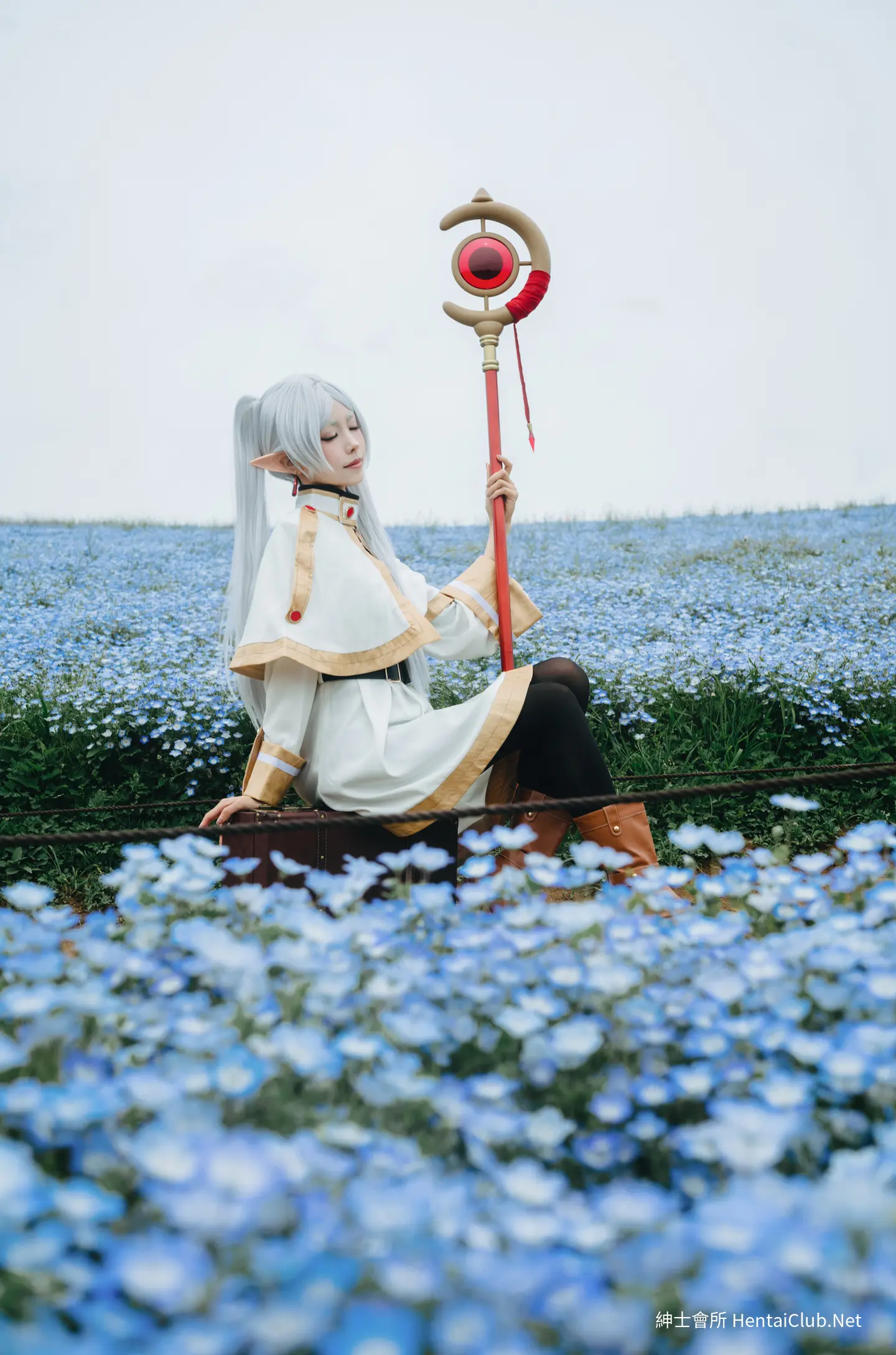 Elyee 202606 Set A Frieren in the Flower Sea 花海芙莉蓮 41 Elyee 202606 Set A Frieren in the Flower Sea 花海芙莉蓮