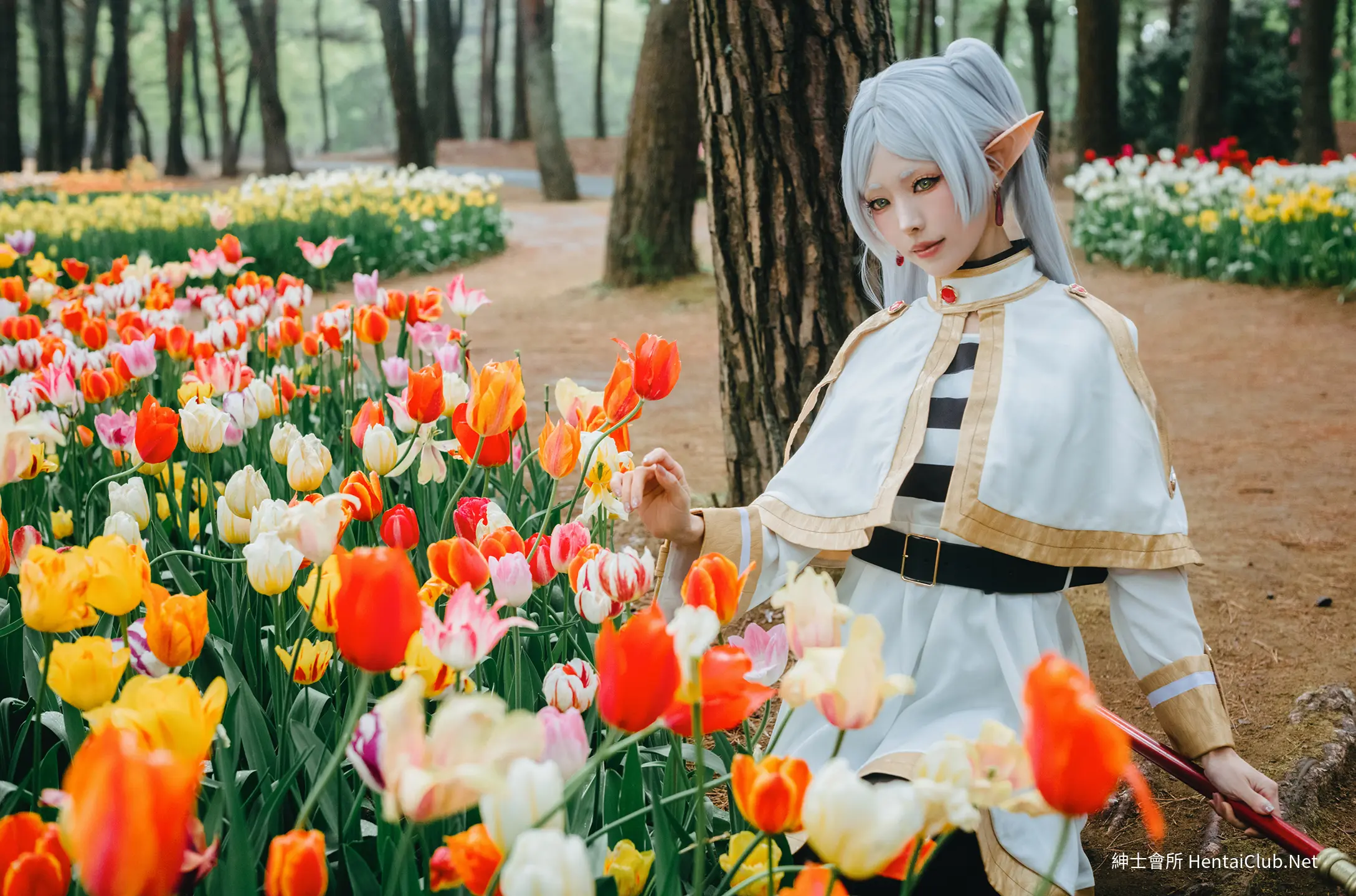 Elyee 202606 Set A Frieren in the Flower Sea 花海芙莉蓮 44 Elyee 202606 Set A Frieren in the Flower Sea 花海芙莉蓮